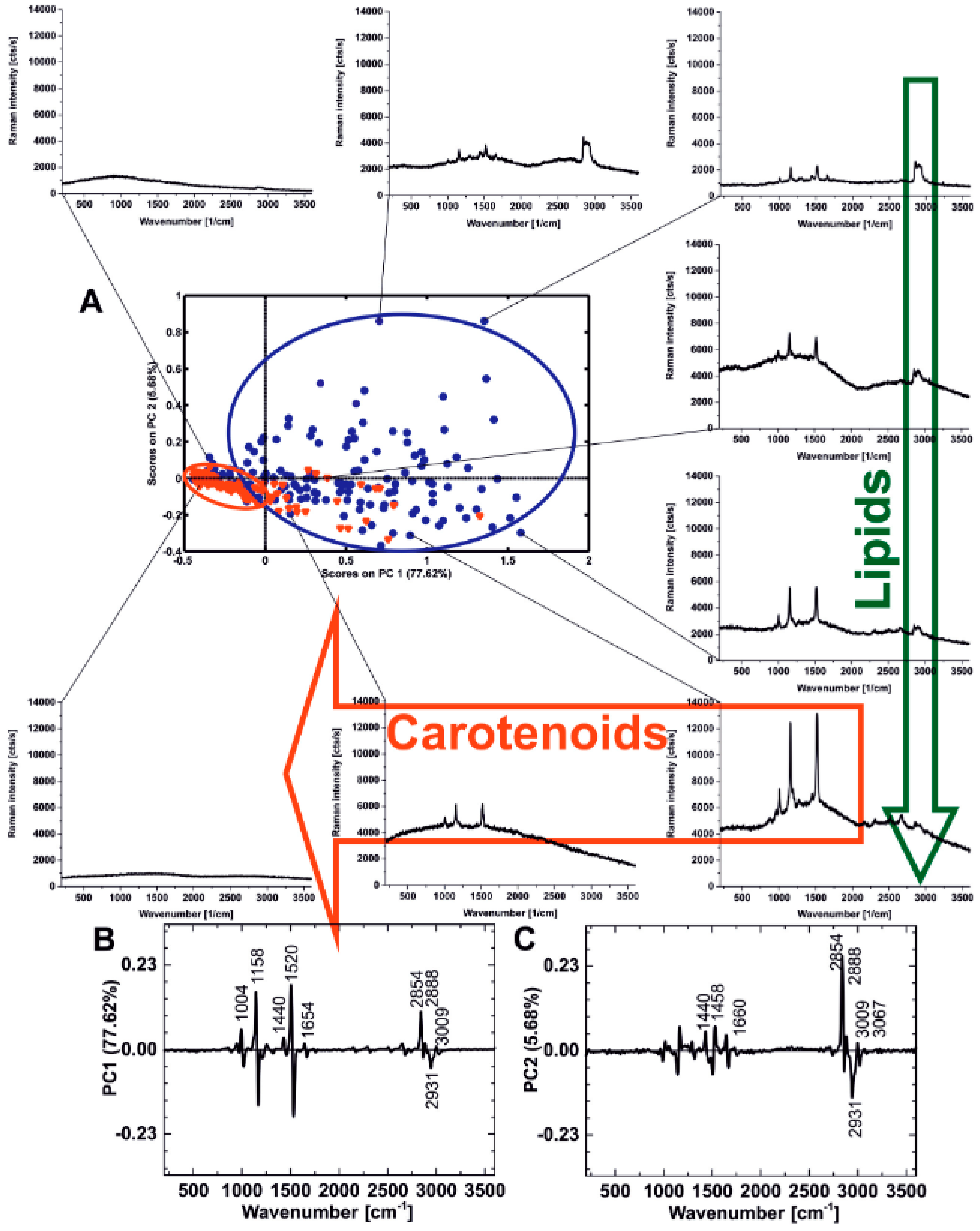 Spectroscj 03 00009 g001