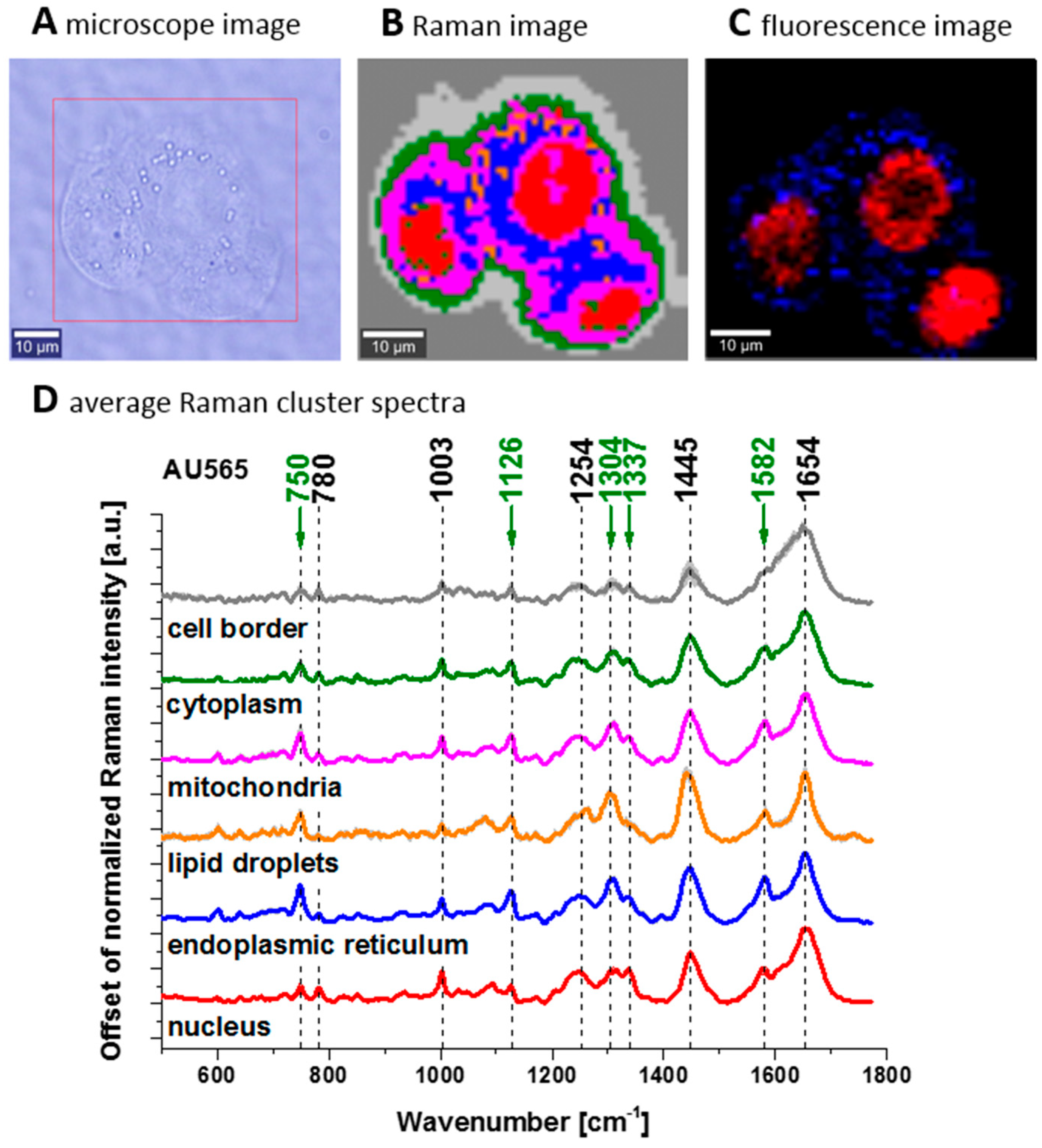 Spectroscj 03 00009 g011