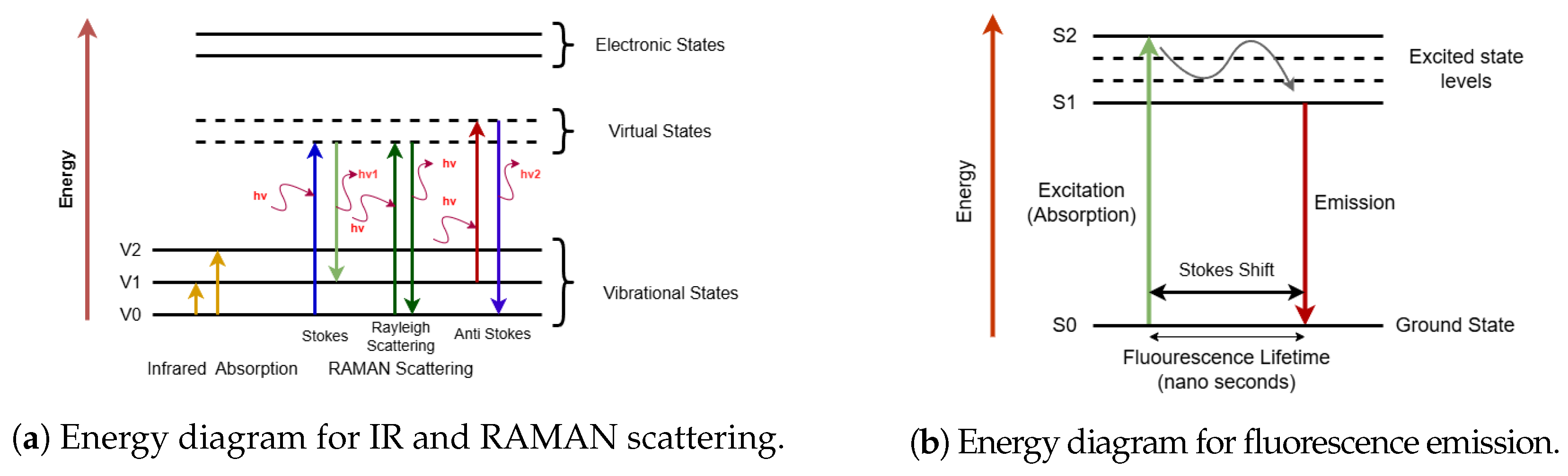 Spectroscj 03 00012 g002