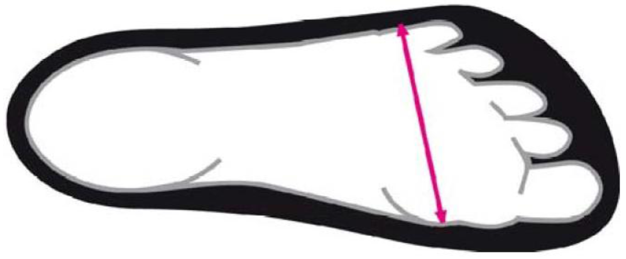 Sports 01 00078 g003