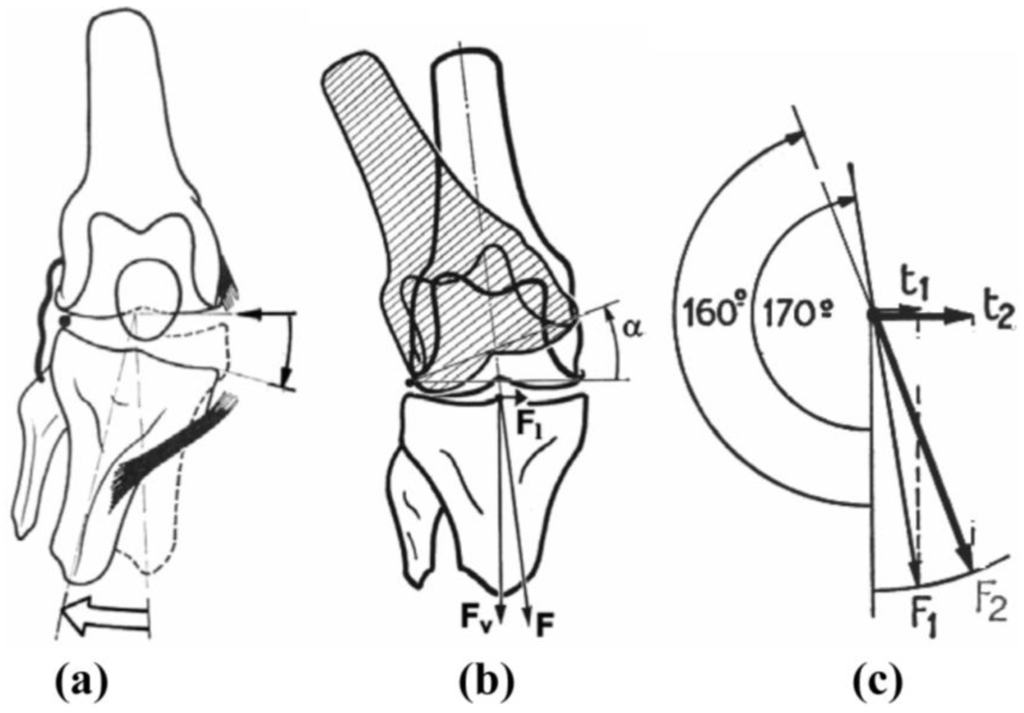 Sports 01 00078 g005 1024