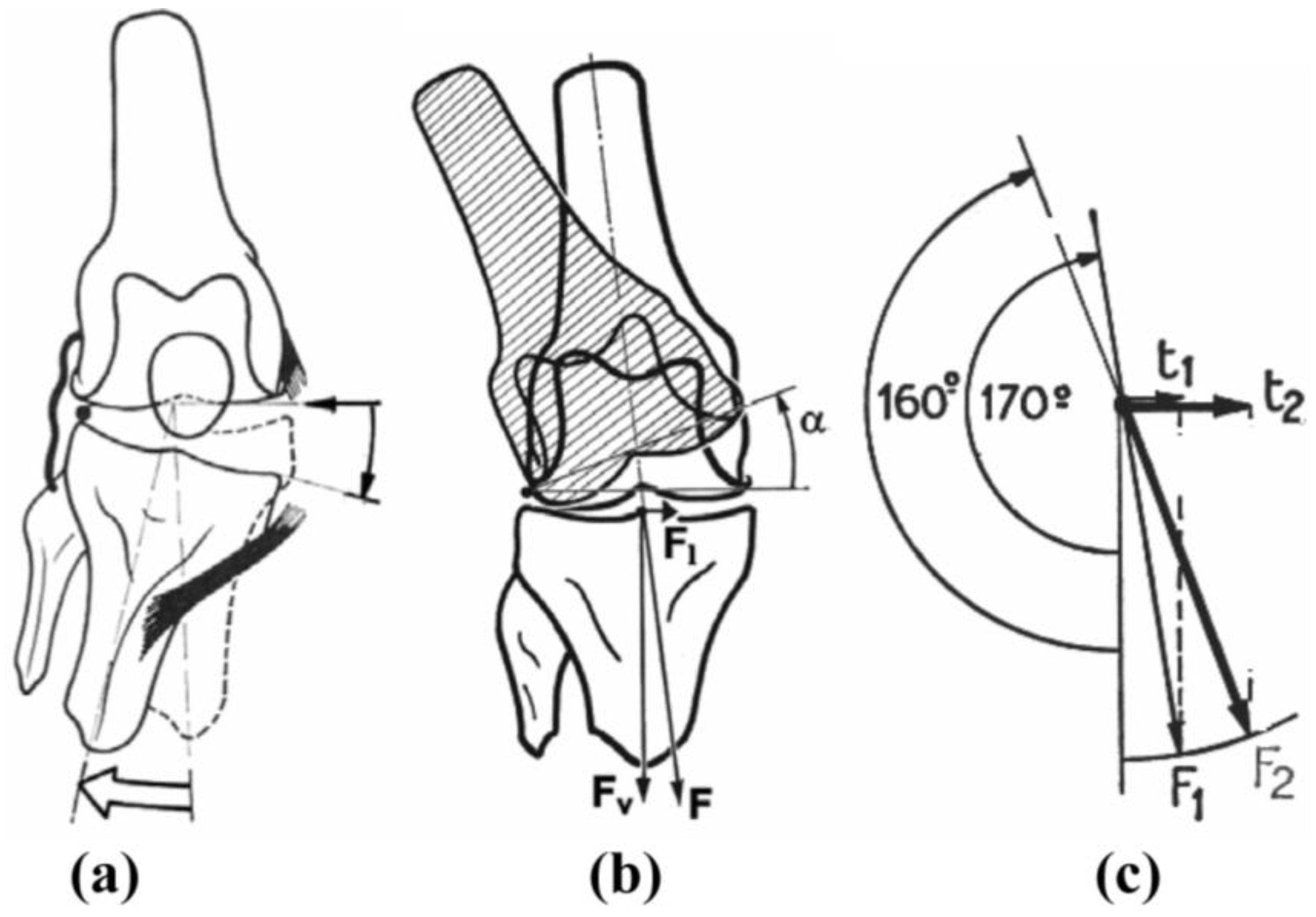 Sports 01 00078 g005