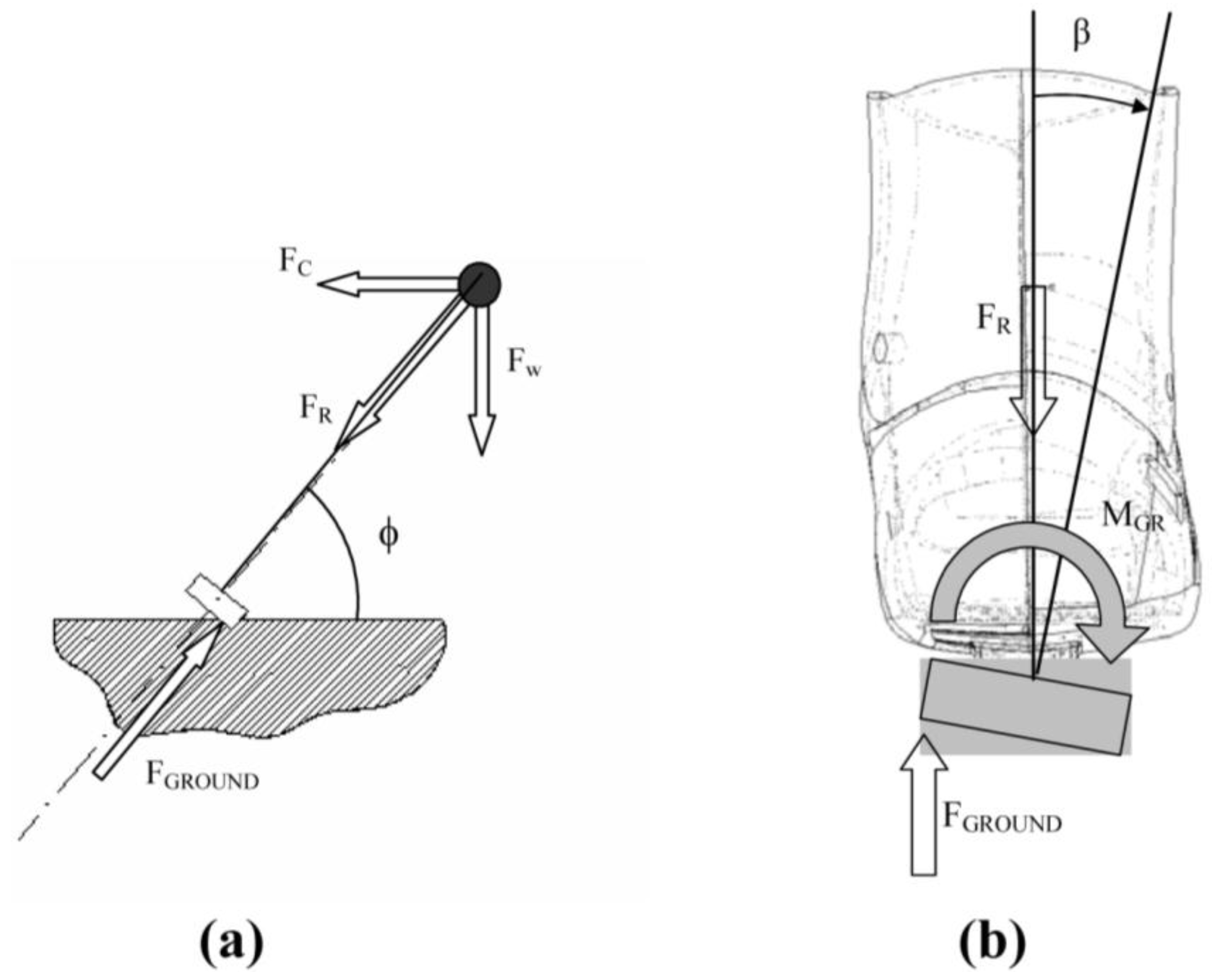 Sports 01 00078 g006