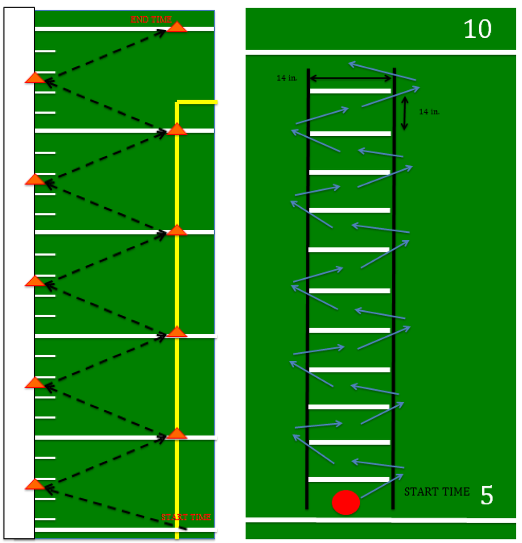 Sports 02 00085 g002 1024