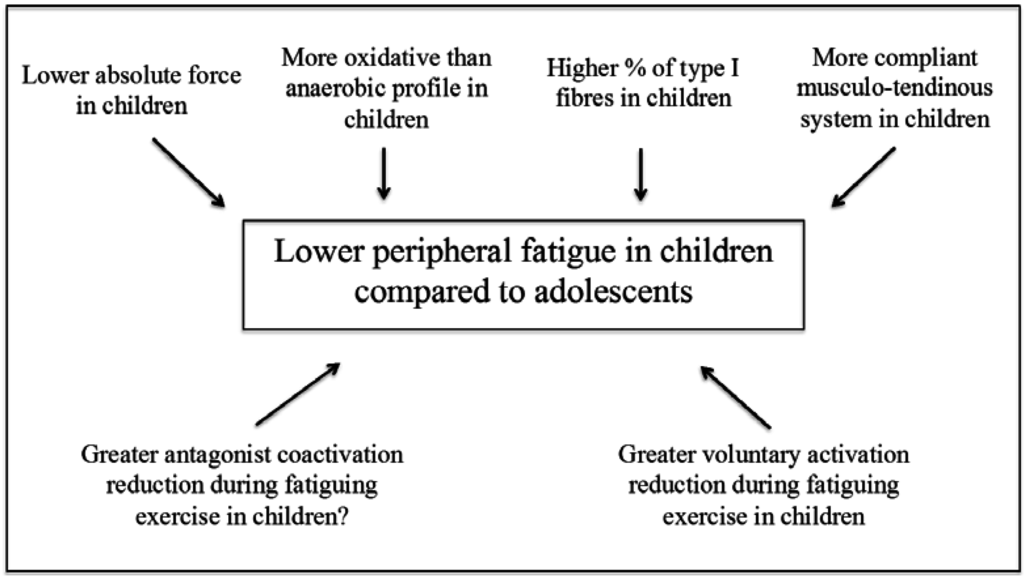 Sports 03 00346 g001 1024