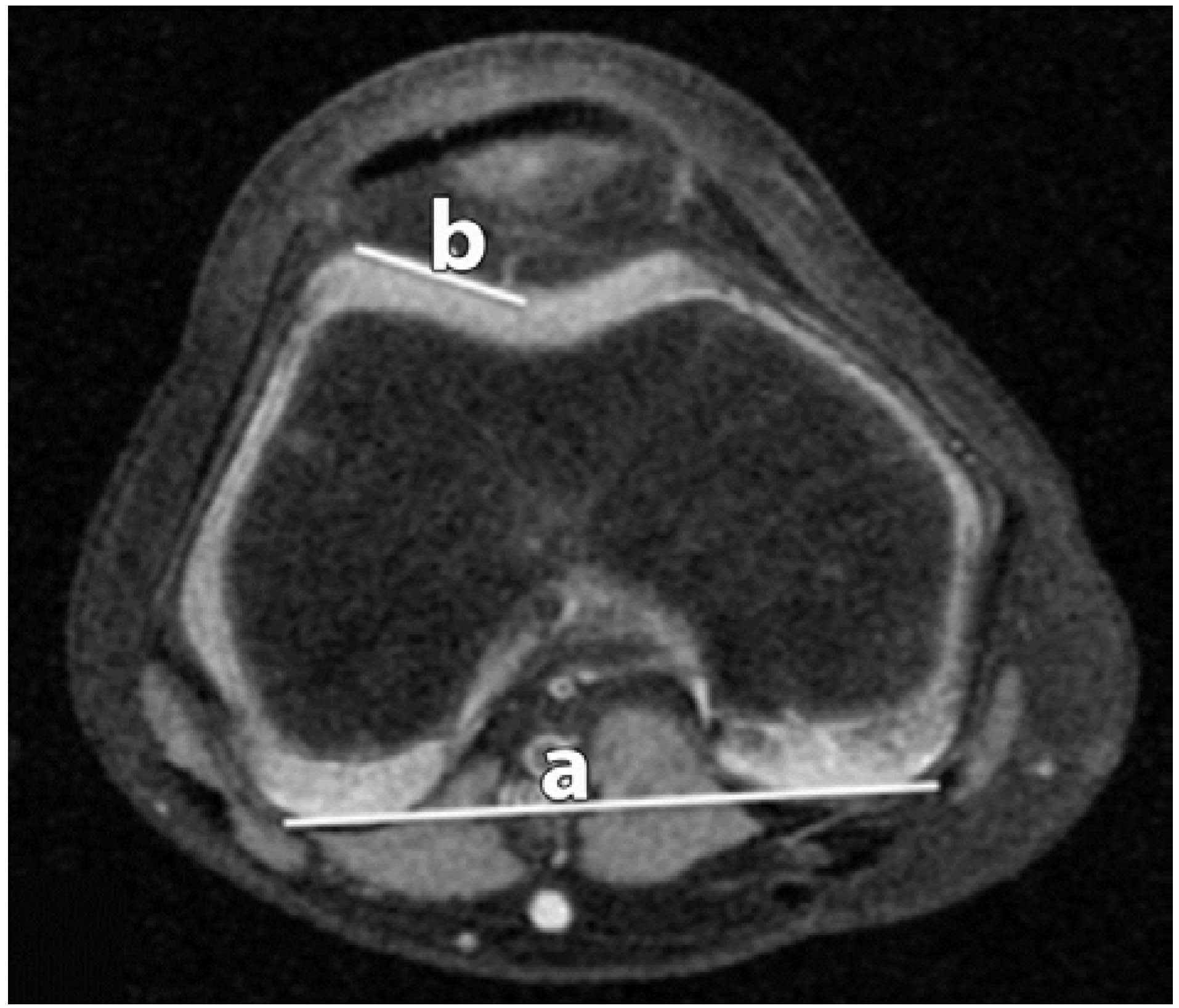 Sports 04 00024 g001