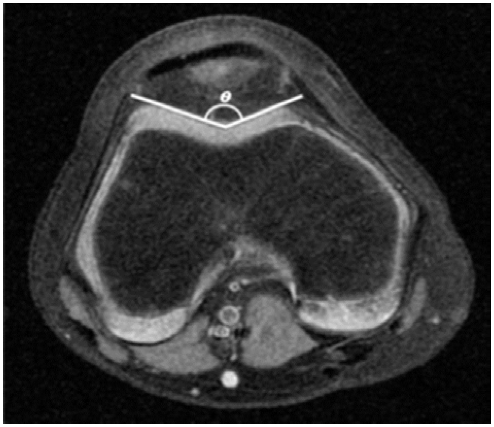 Sports 04 00024 g005