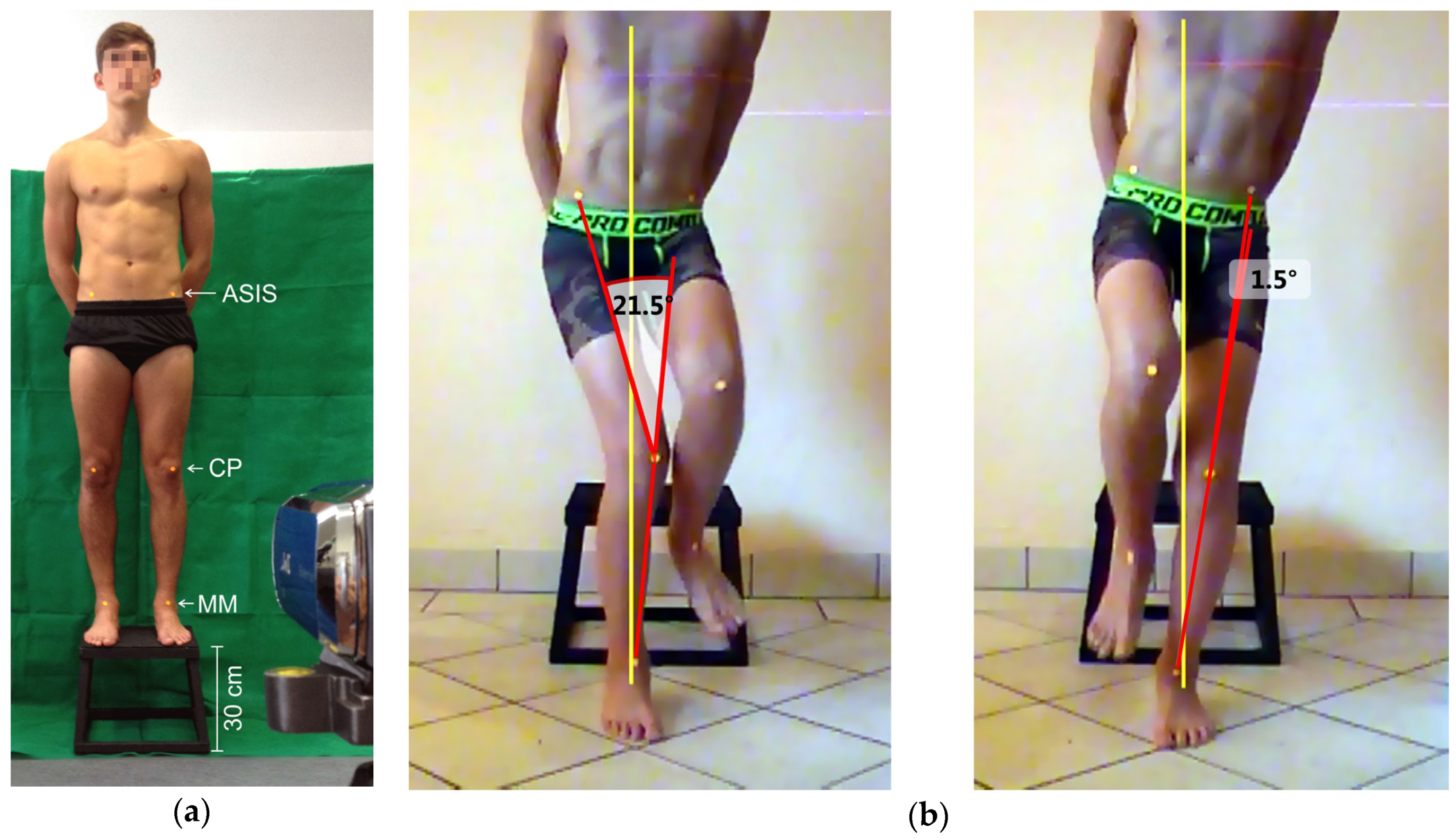 Sports 05 00014 g001