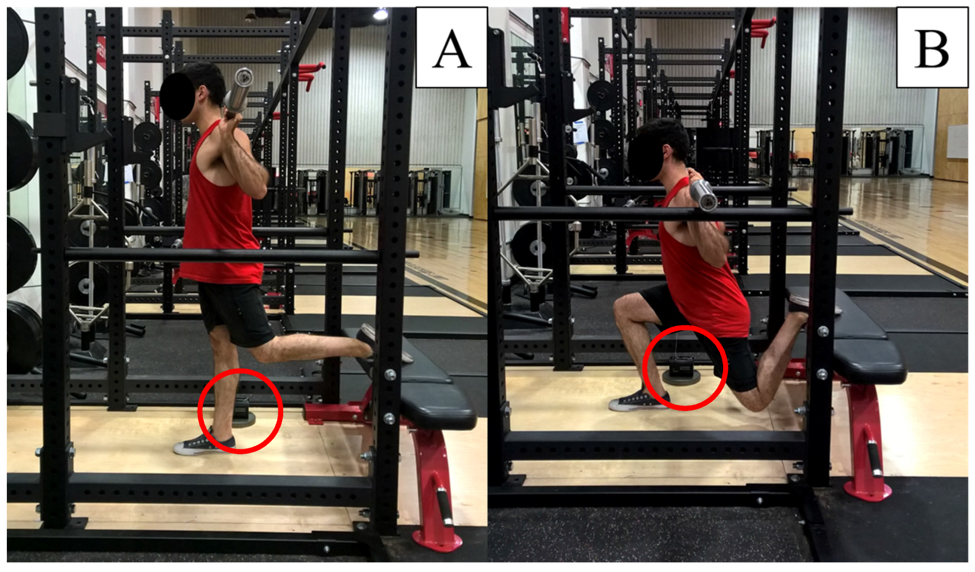 Sports 05 00065 g001