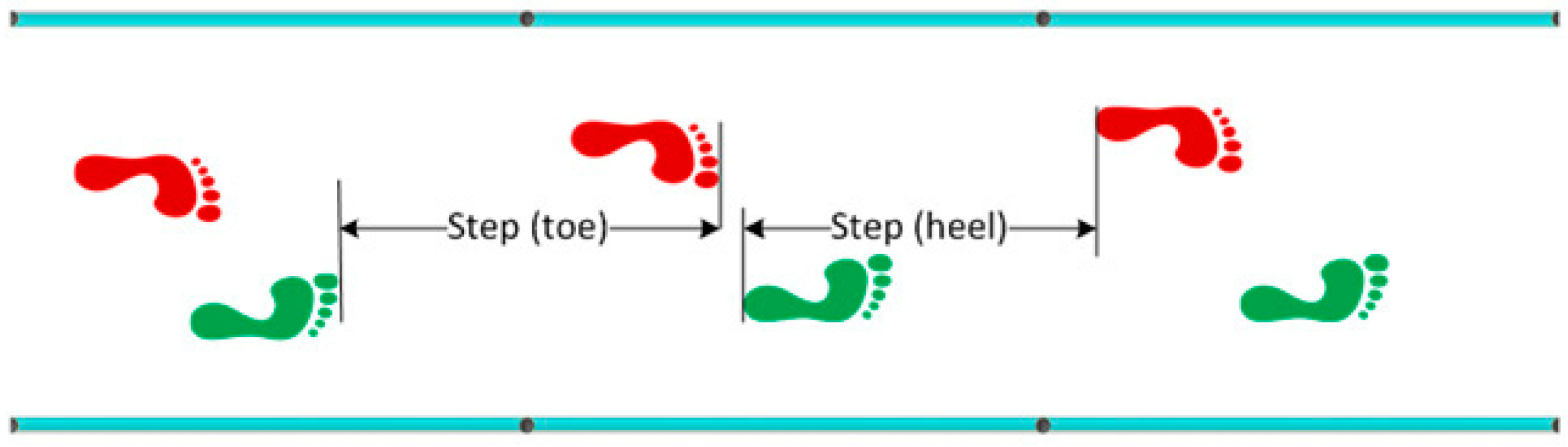 Sports 06 00058 g001