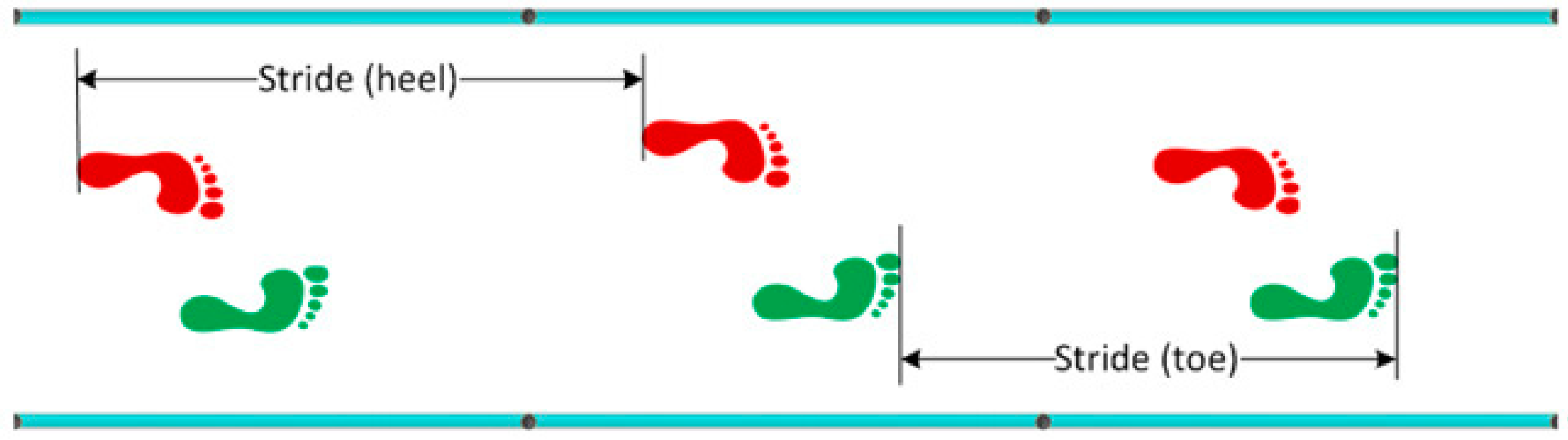 Sports 06 00058 g002