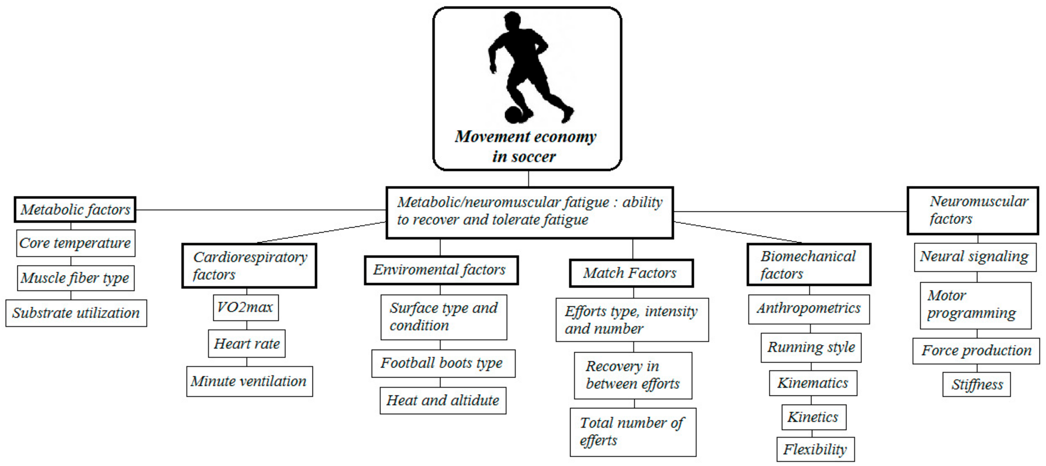 Sports 06 00124 g001