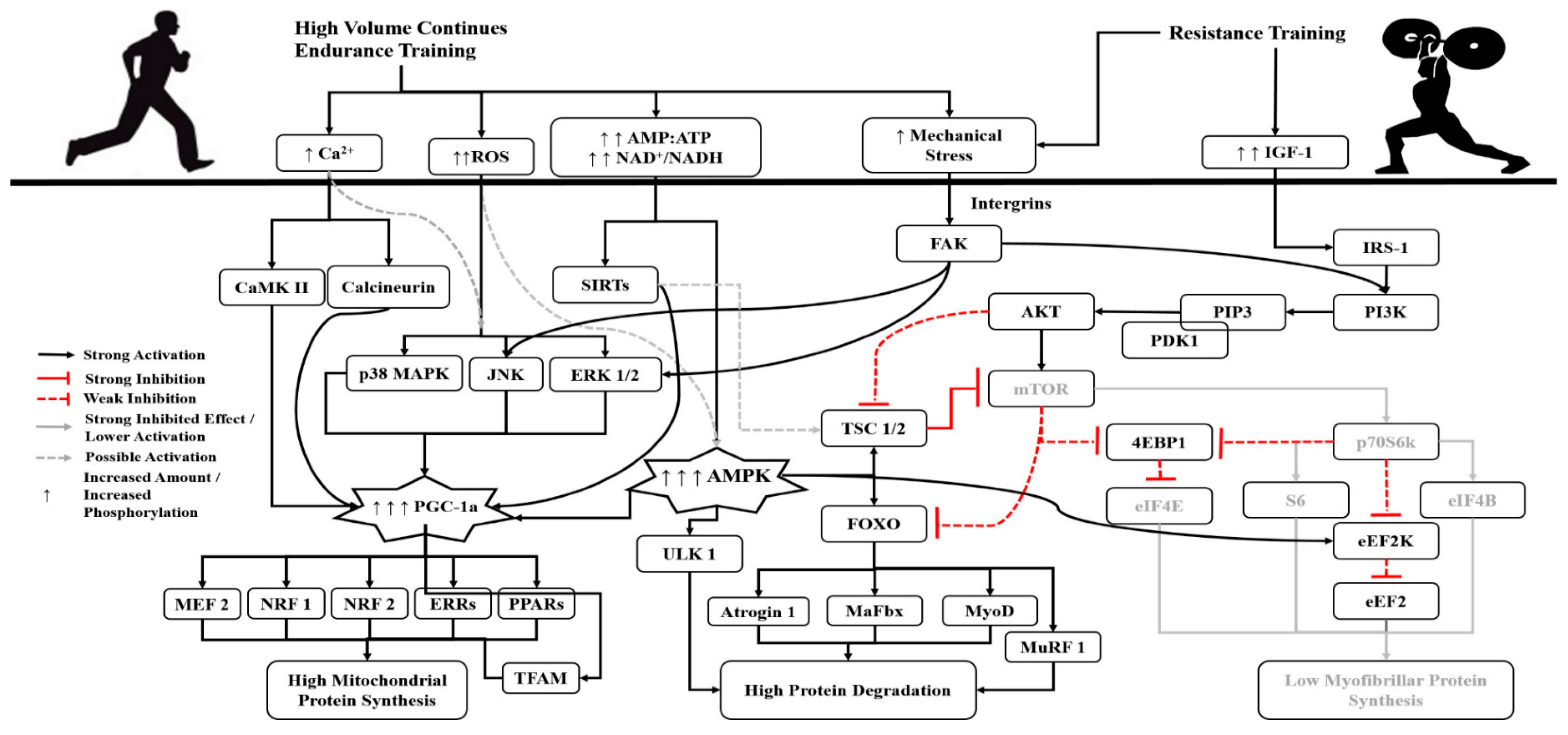 Sports 06 00127 g001