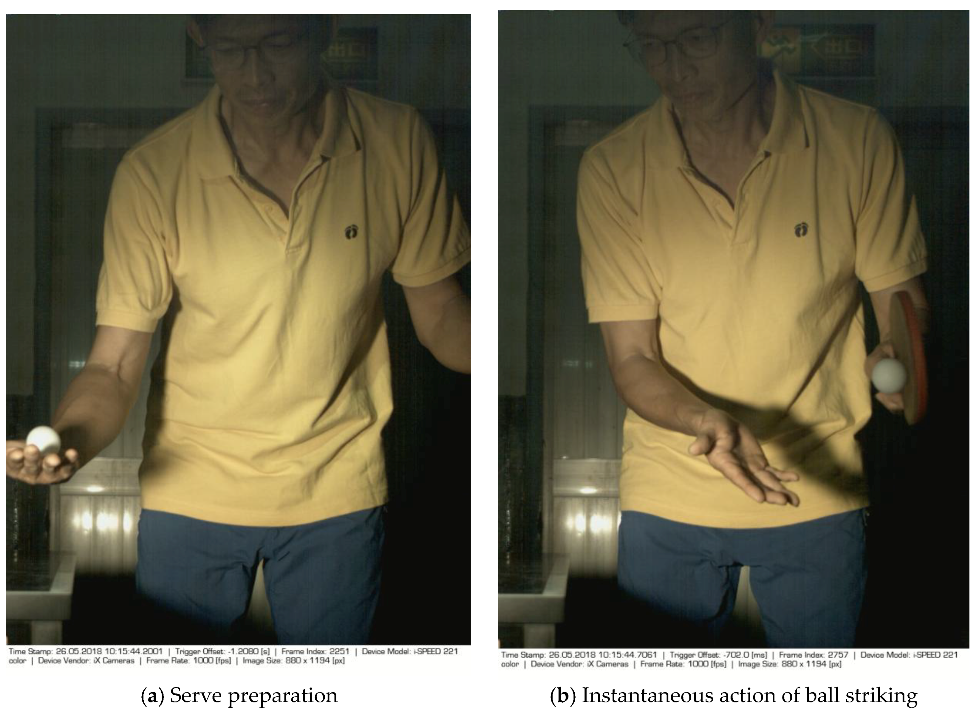 Sports 06 00158 g002