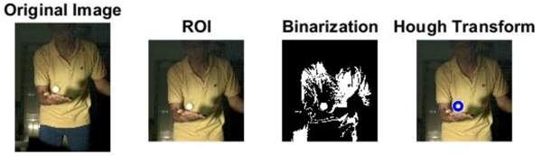 Sports 06 00158 i003