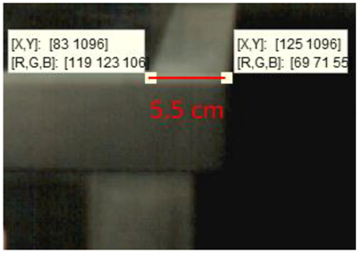 Sports 06 00158 i006