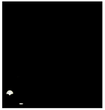 Sports 06 00158 i007