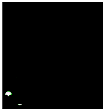 Sports 06 00158 i009