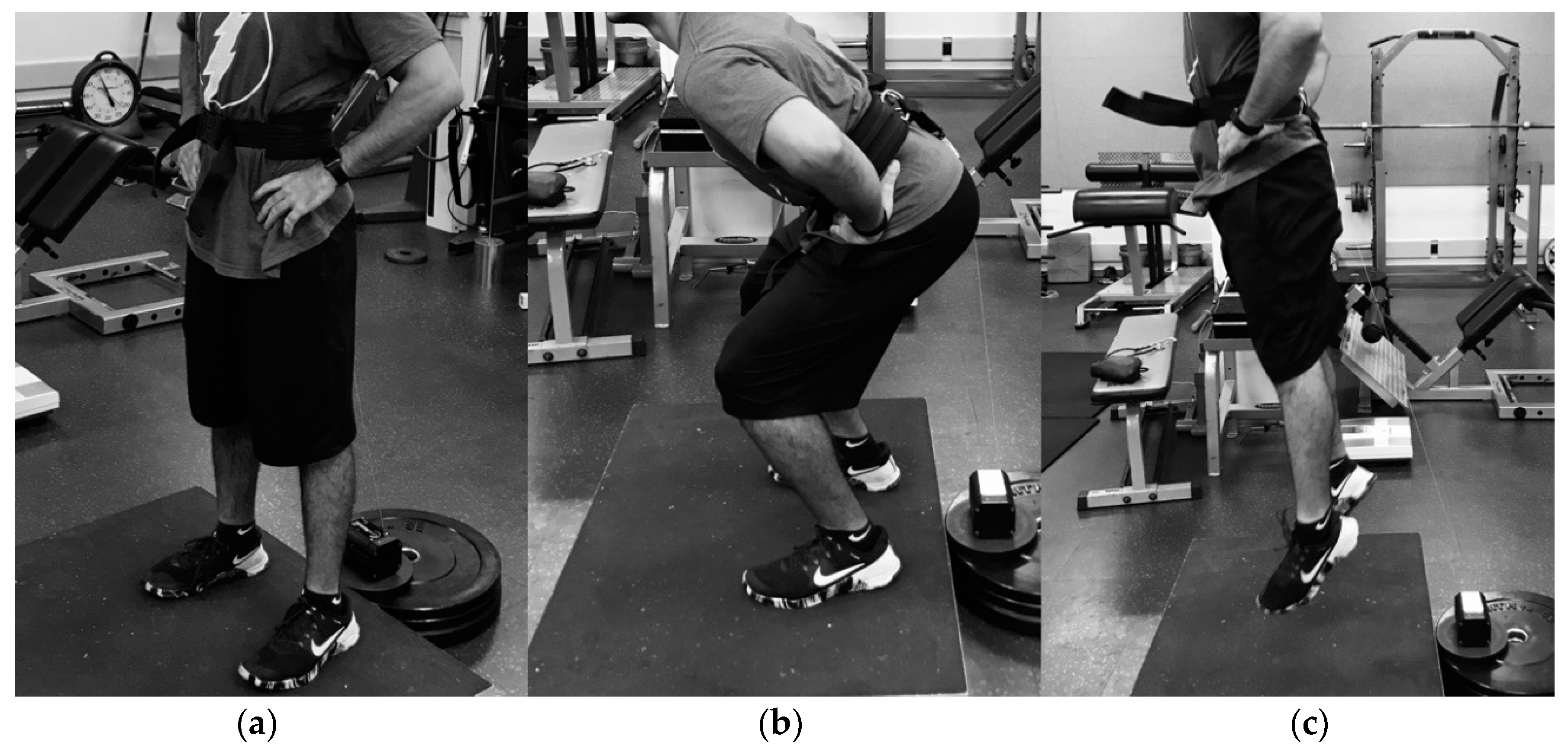 Sports 06 00177 g001