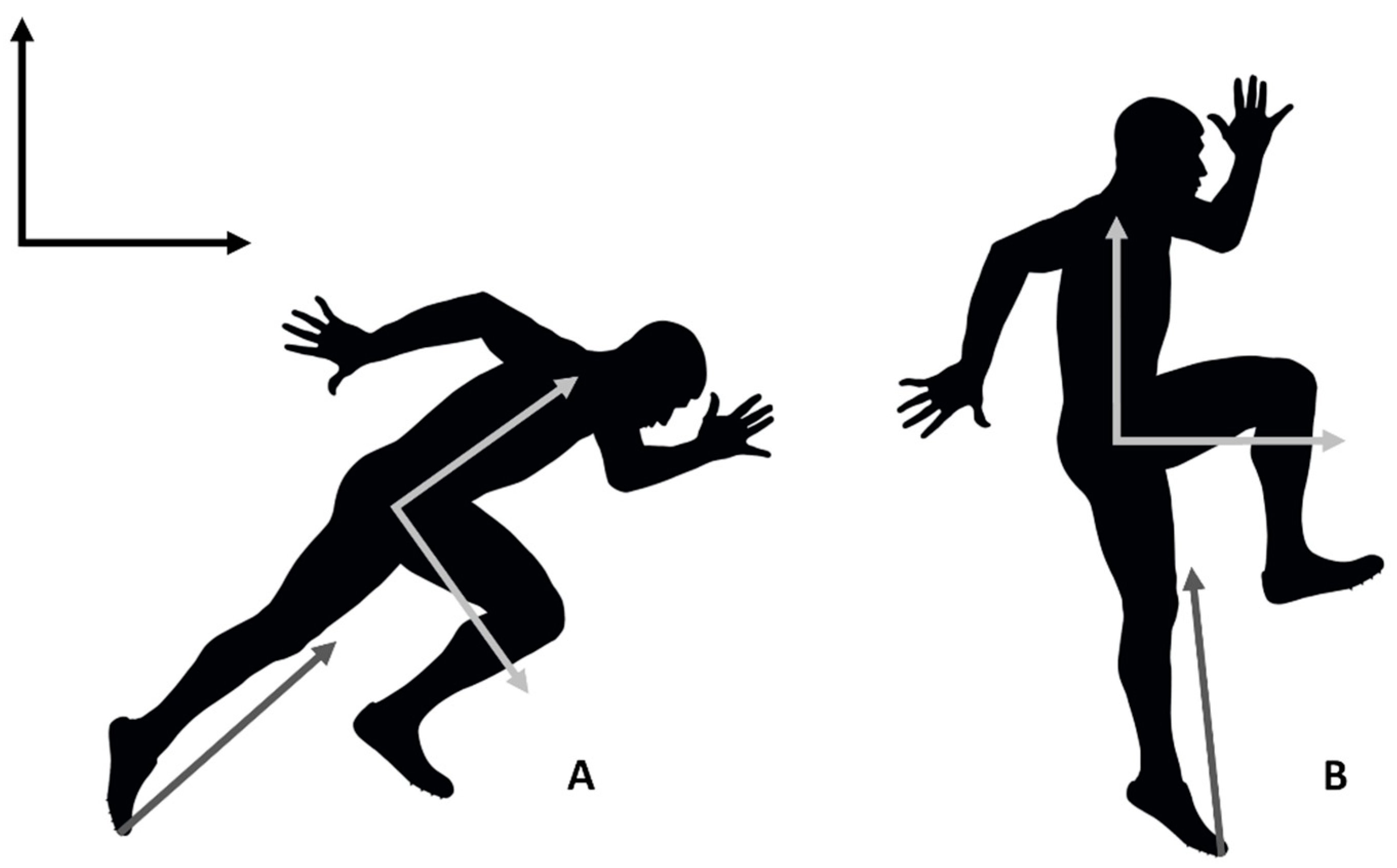 Sports 07 00030 g001 Sports 07 00030 g001