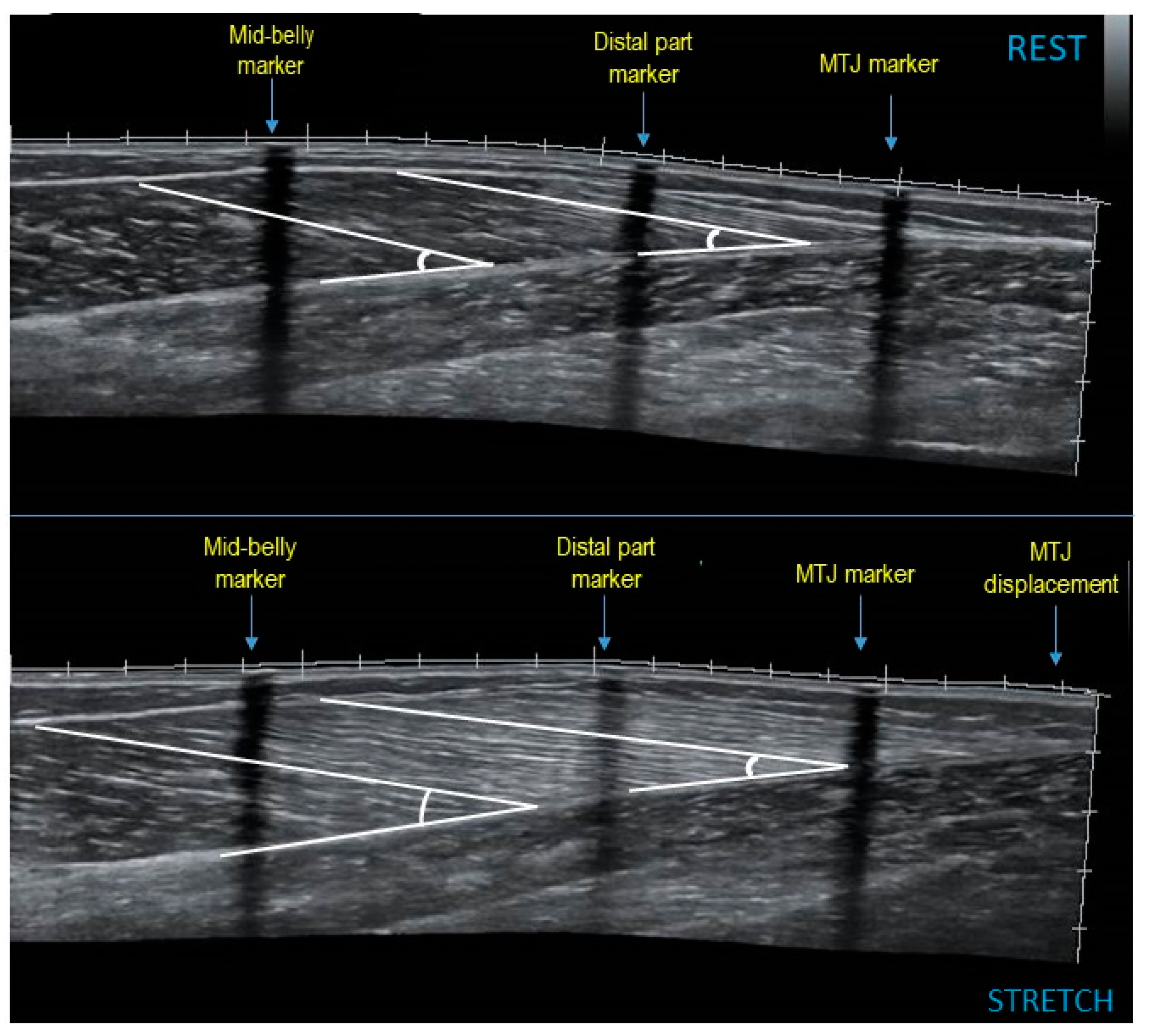 Sports 07 00039 g002