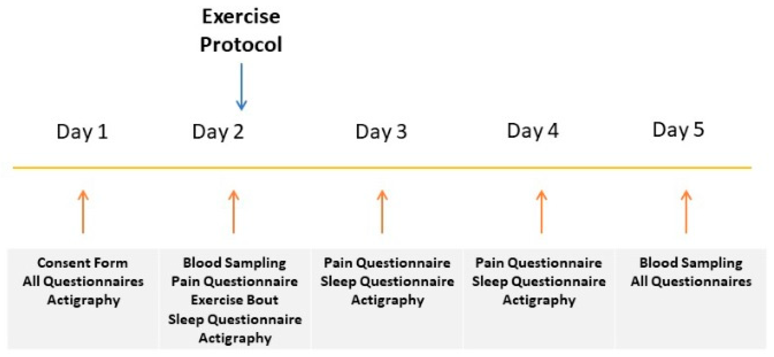 Sports 07 00056 g001