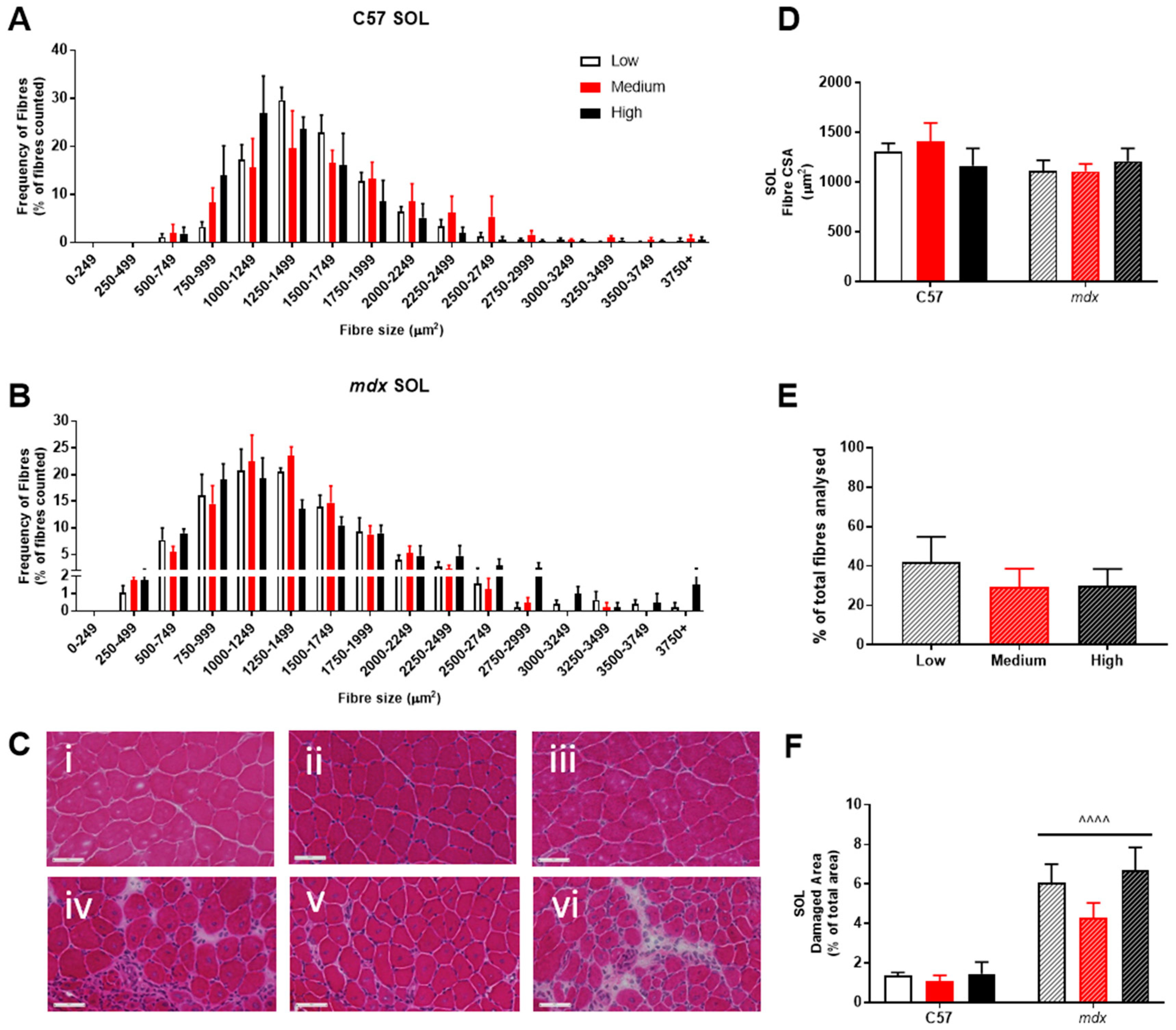 Sports 07 00096 g005