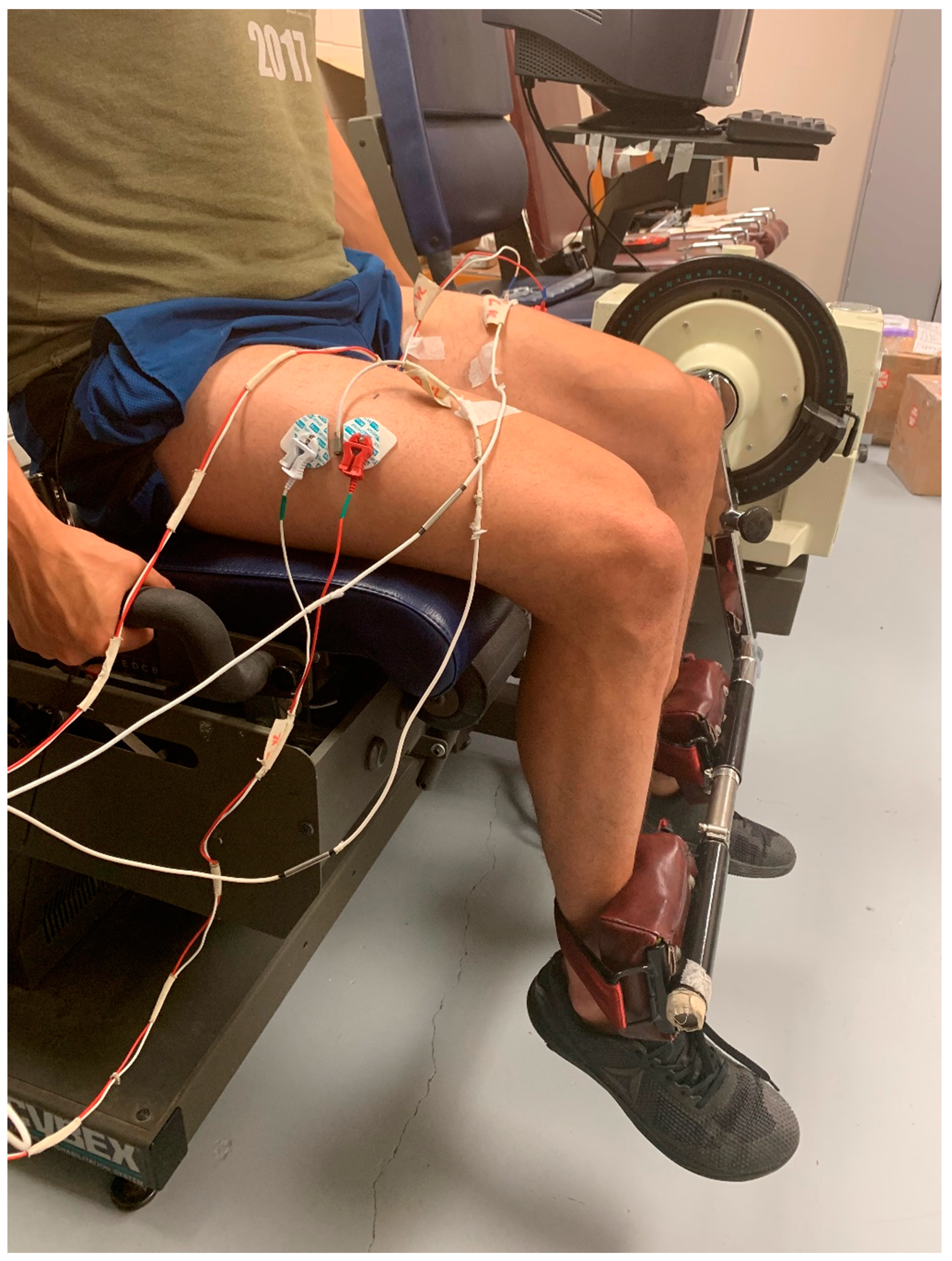 Sports 07 00175 g001