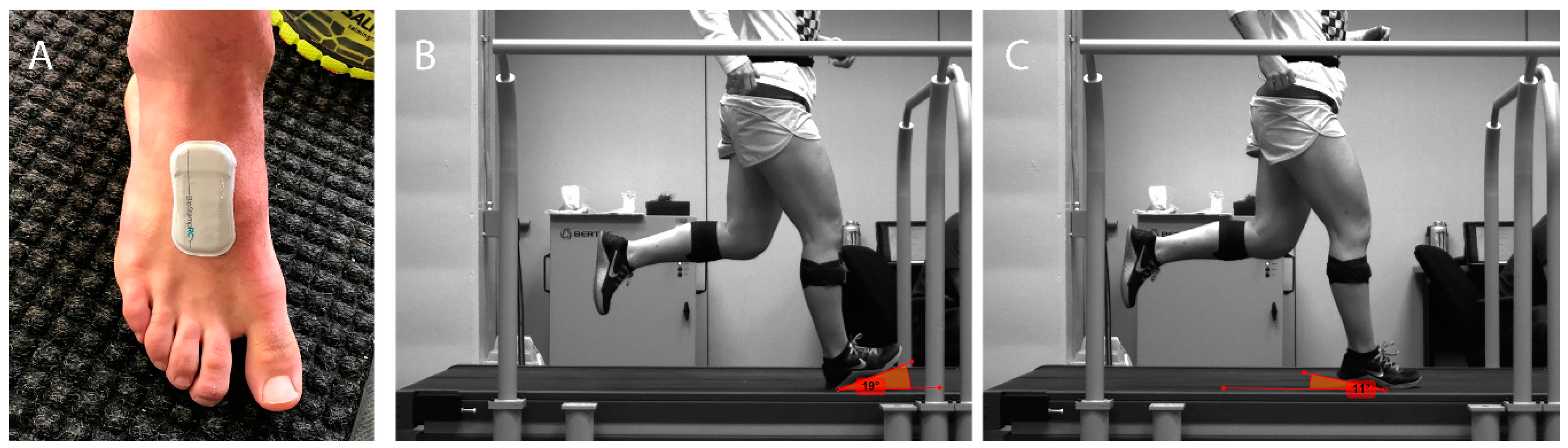 Sports 07 00184 g001 Sports 07 00184 g001