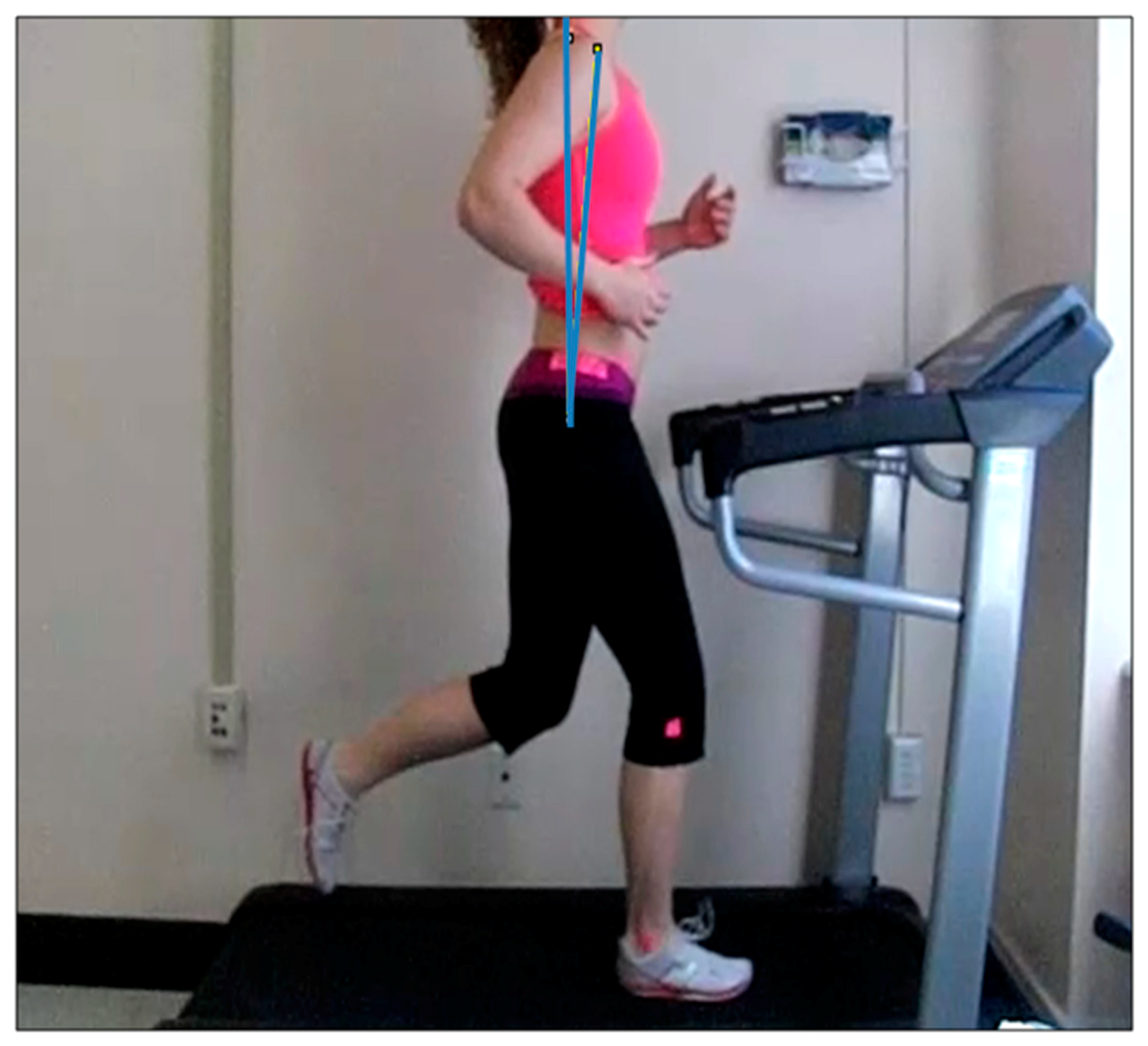 Sports 07 00210 g001