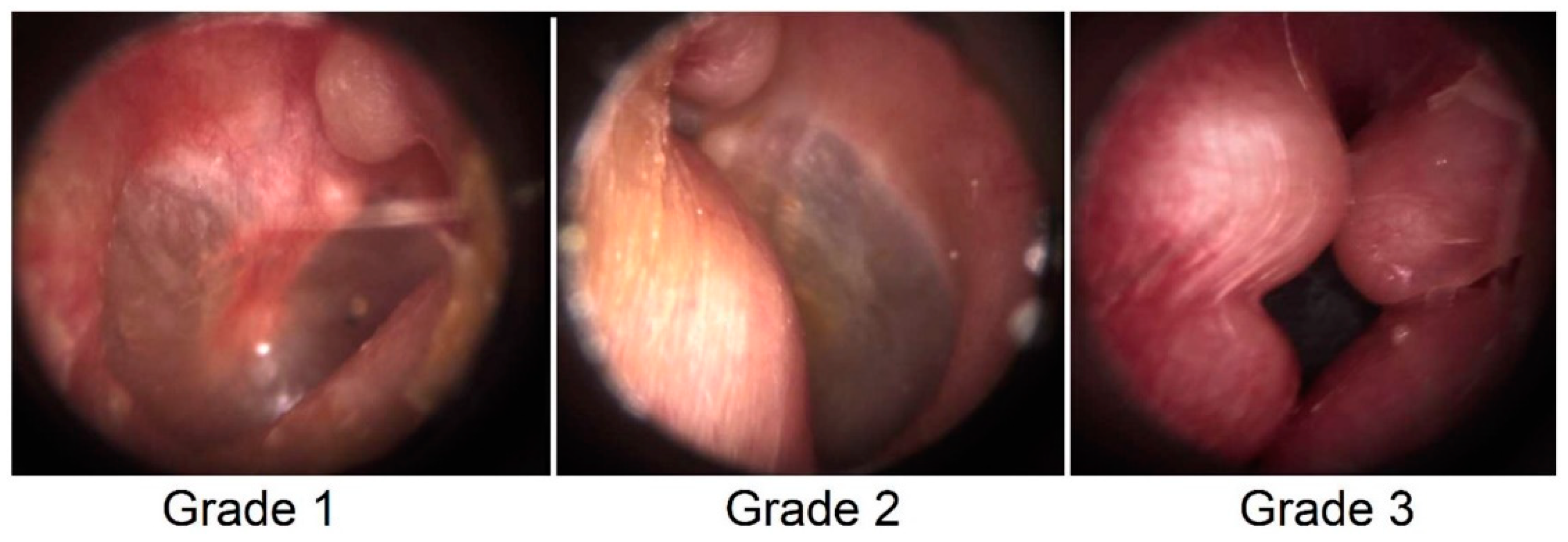 Sports 08 00017 g001 Sports 08 00017 g001