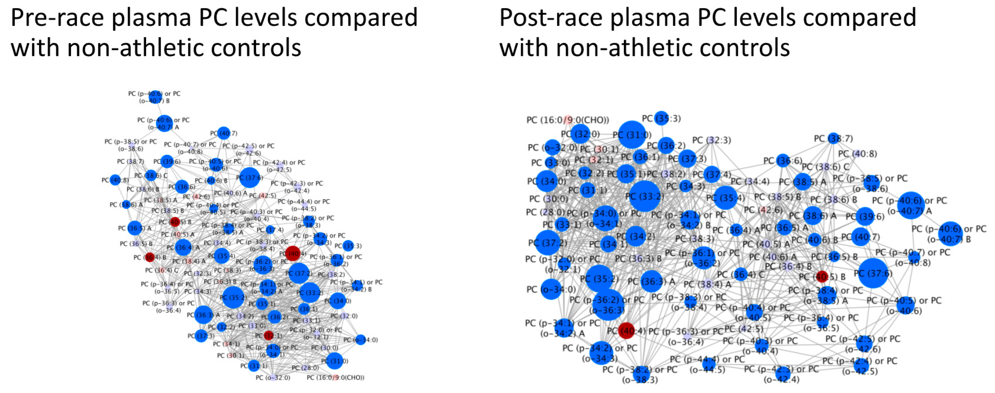 Sports 08 00044 g004