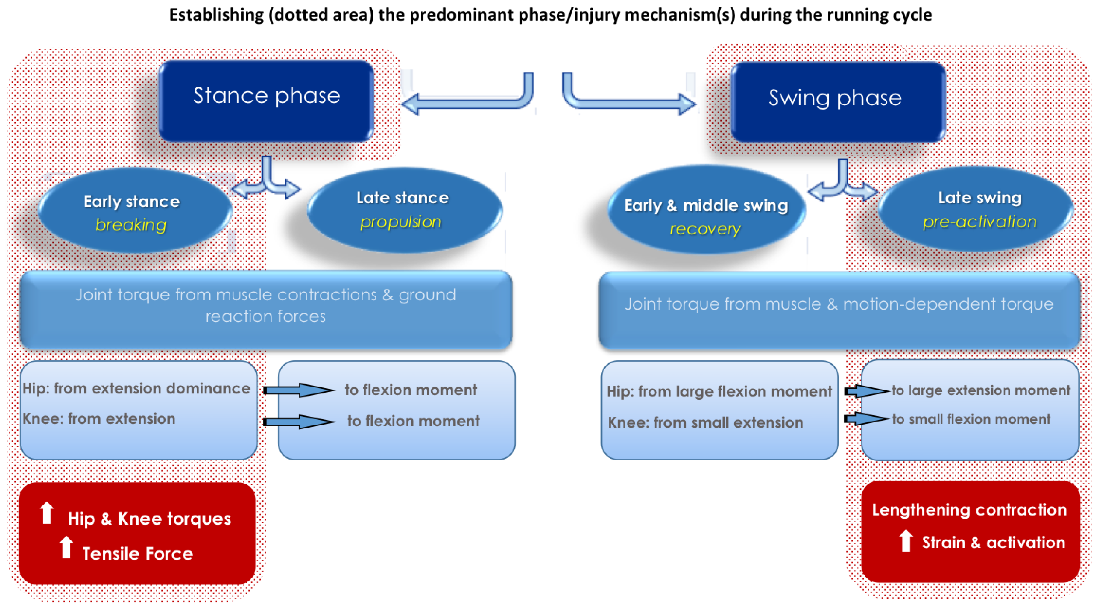 Sports 08 00065 g001