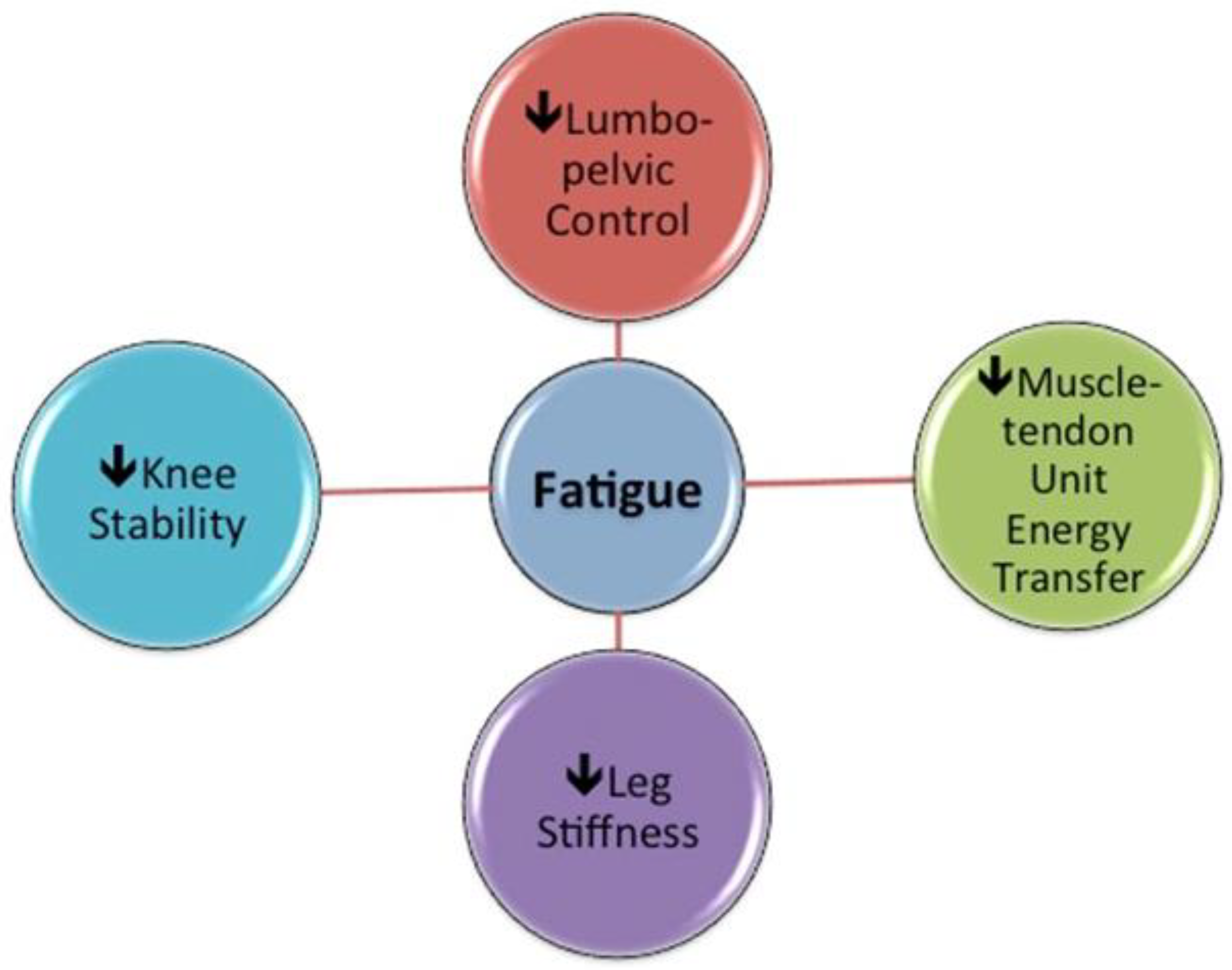 Sports 08 00065 g002