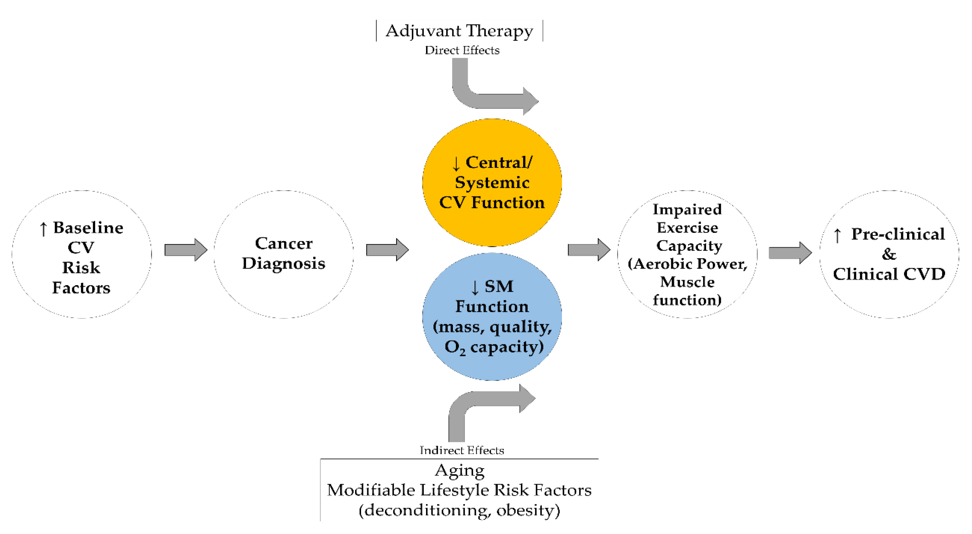 Sports 08 00080 g001