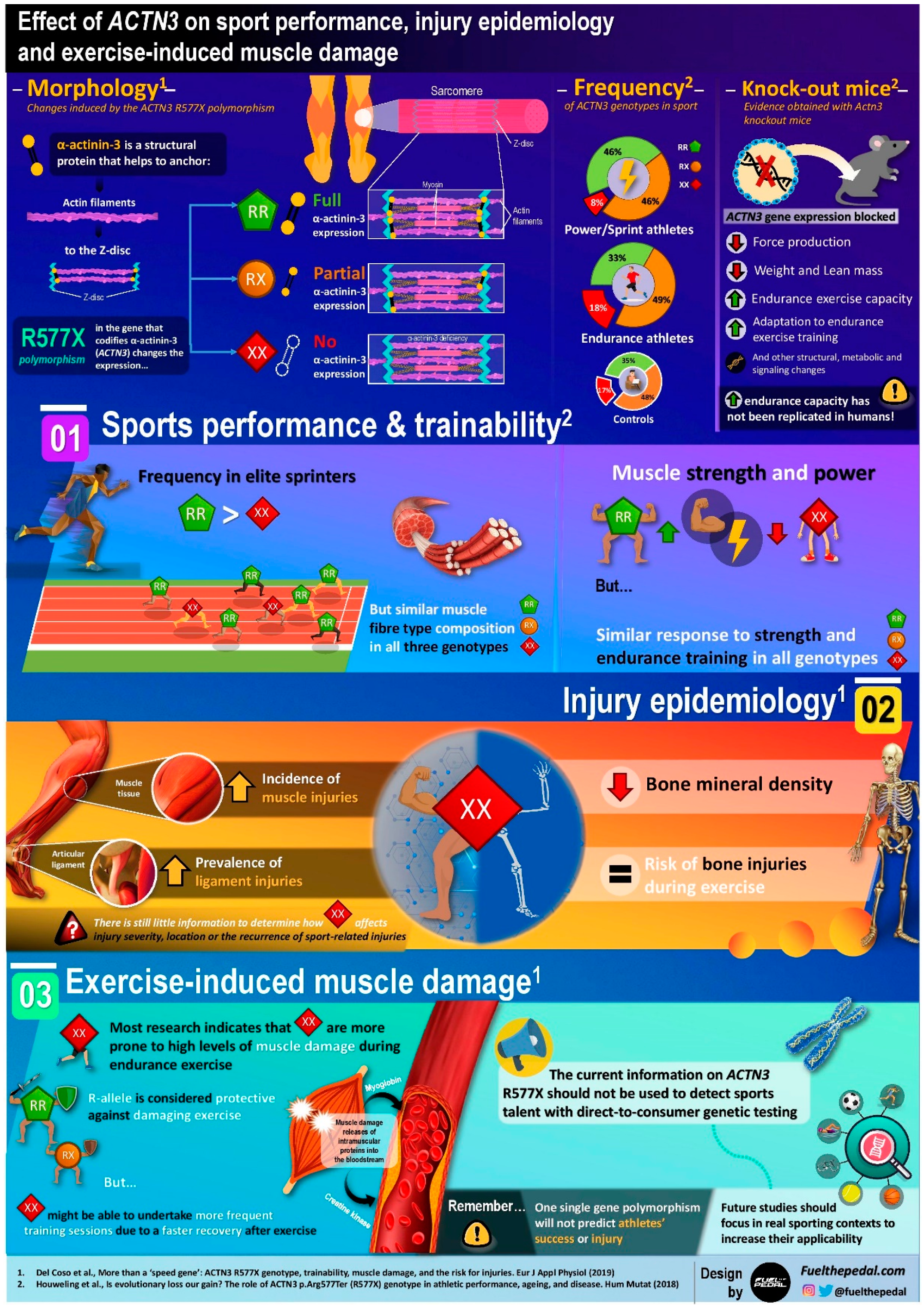 Sports 08 00099 g001