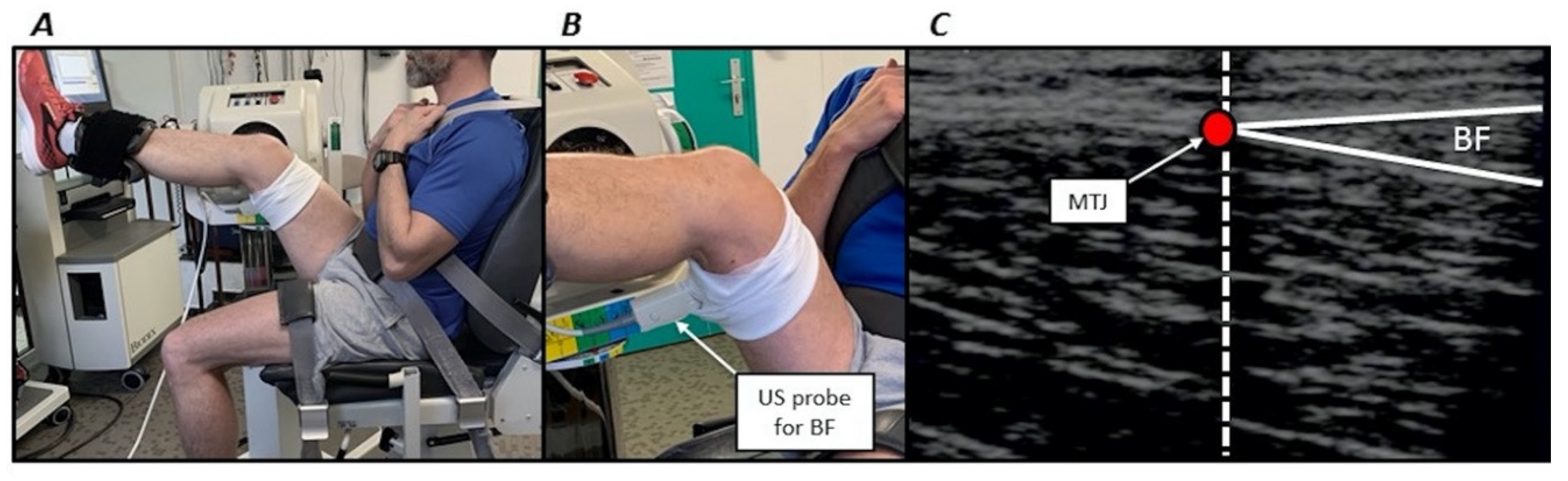 Sports 08 00119 g002