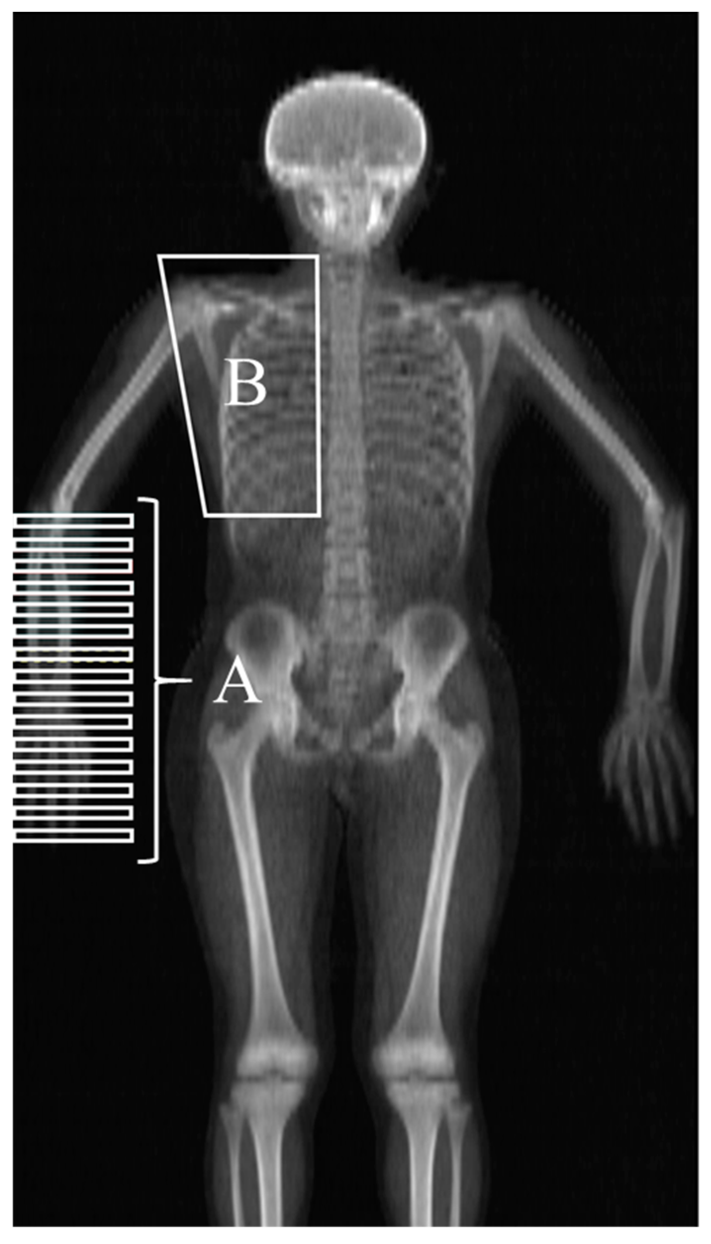 Sports 08 00152 g001