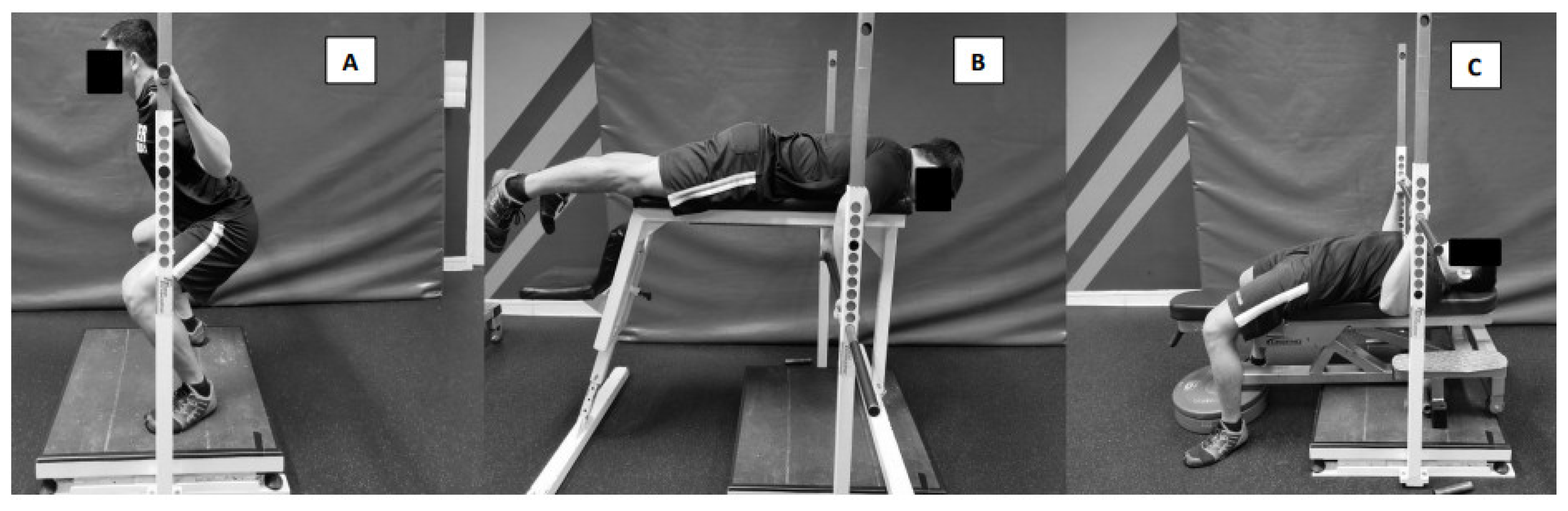 Sports 09 00016 g001 Sports 09 00016 g001