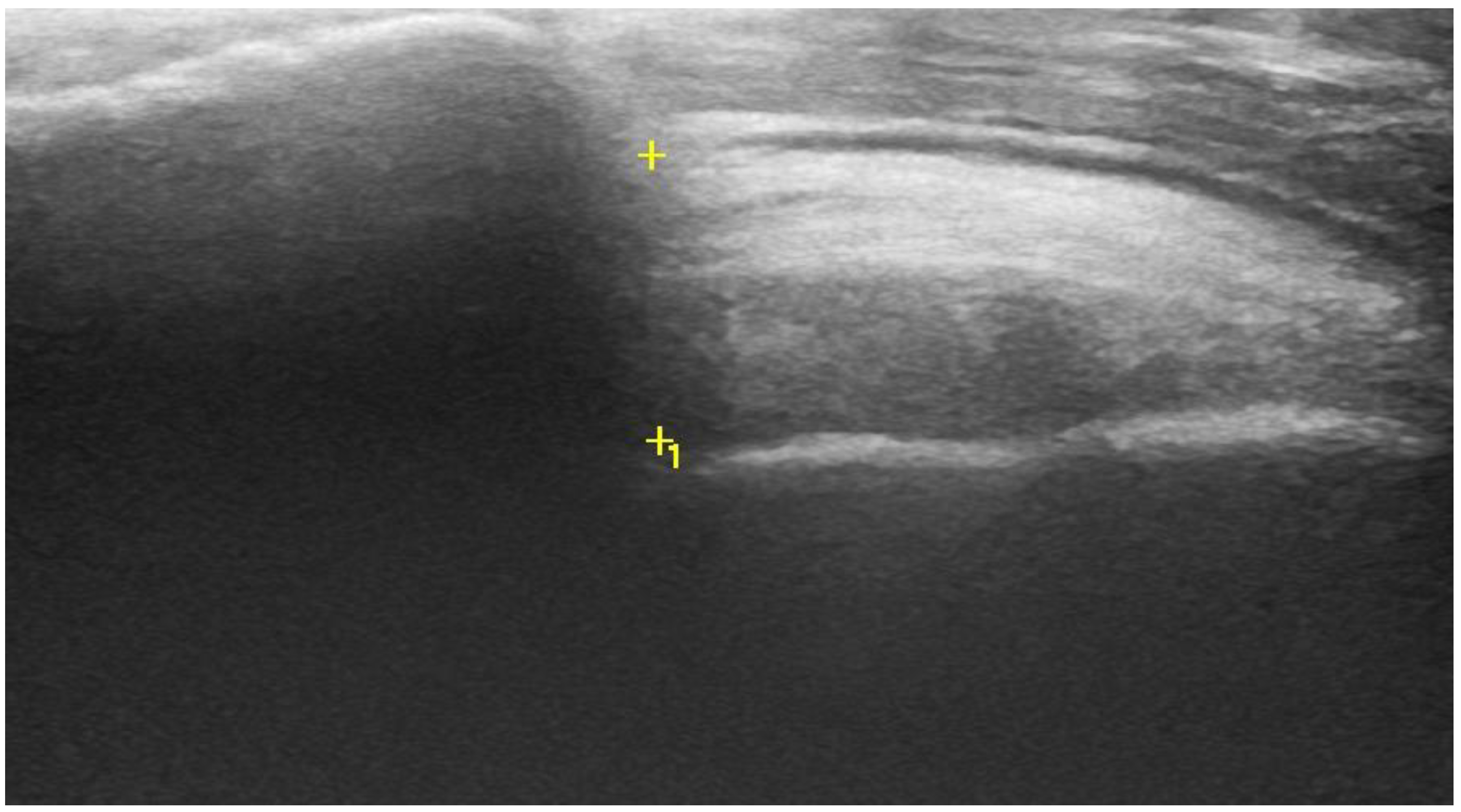 Sports 09 00048 g001