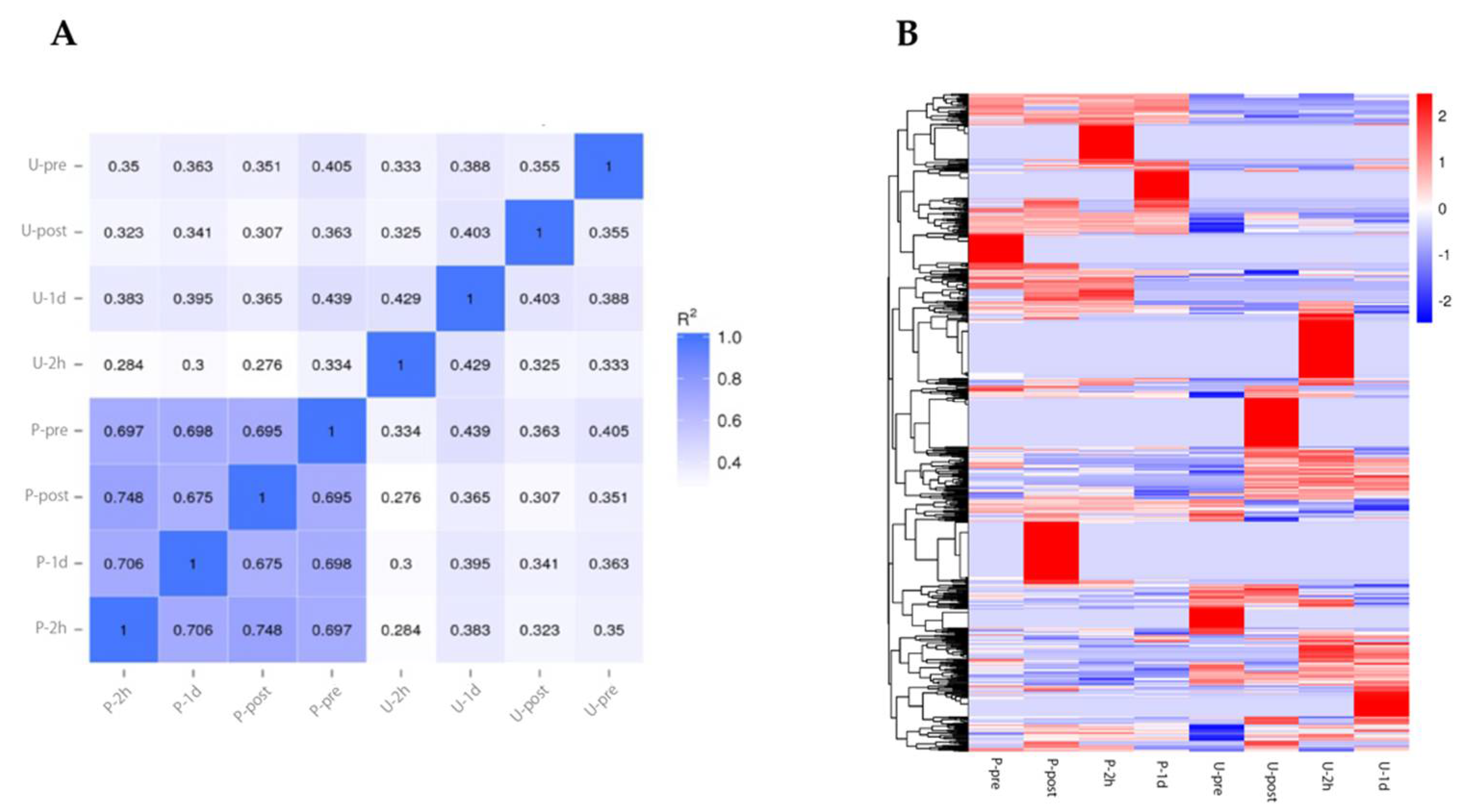 Sports 09 00134 g003