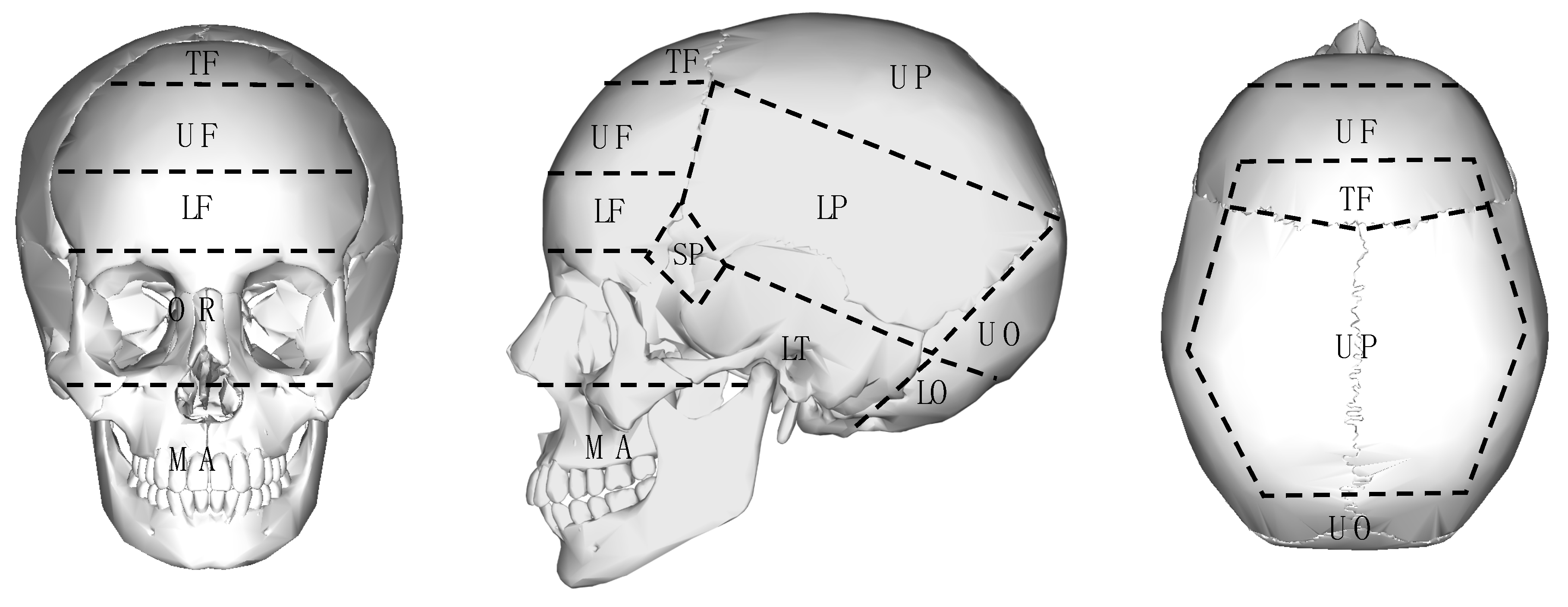 Sports 09 00172 g002