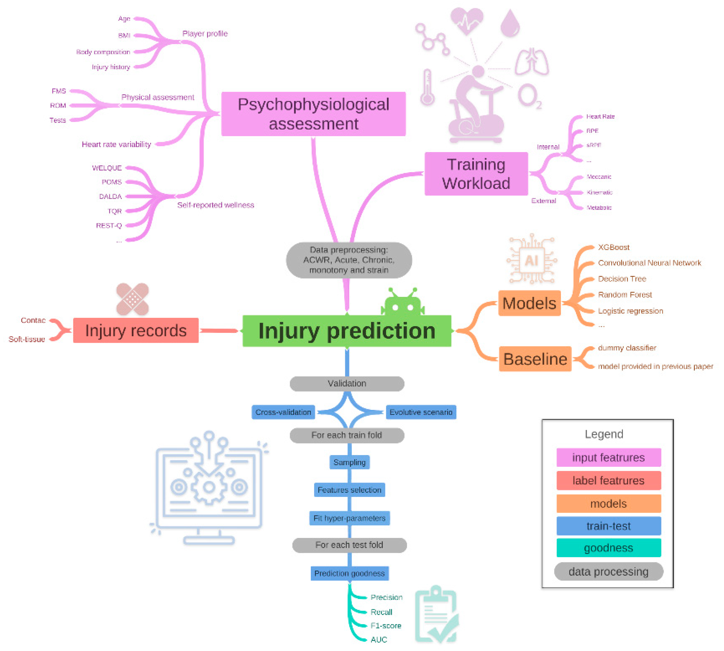 Sports 10 00005 g001