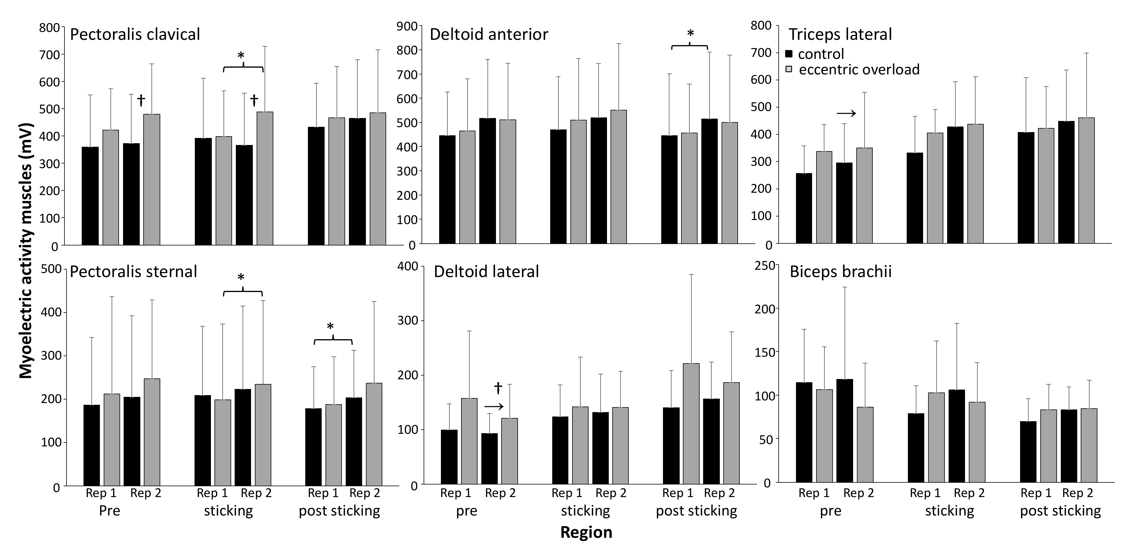 Sports 10 00006 g006