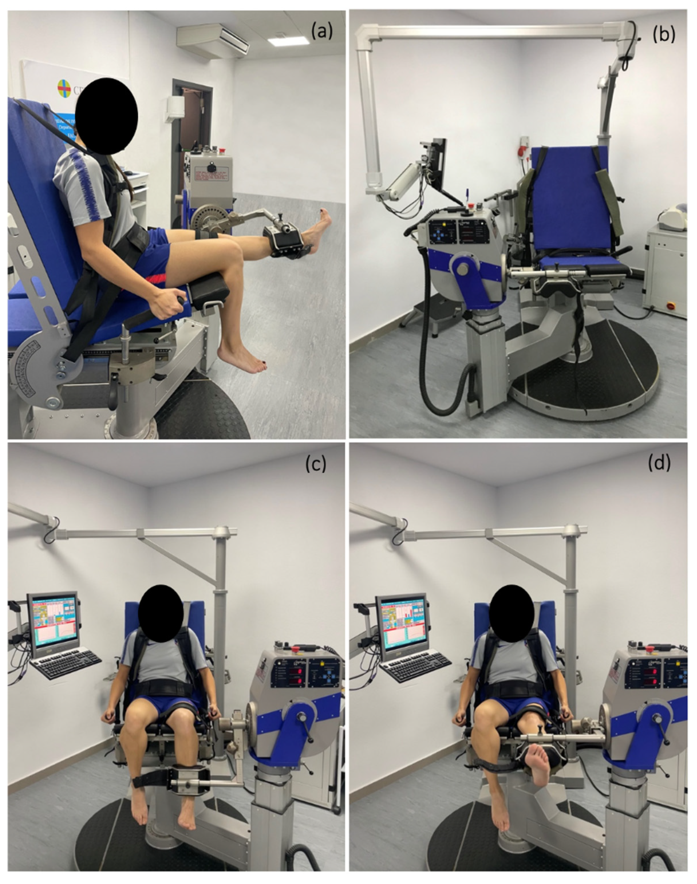 Sports 10 00204 g001