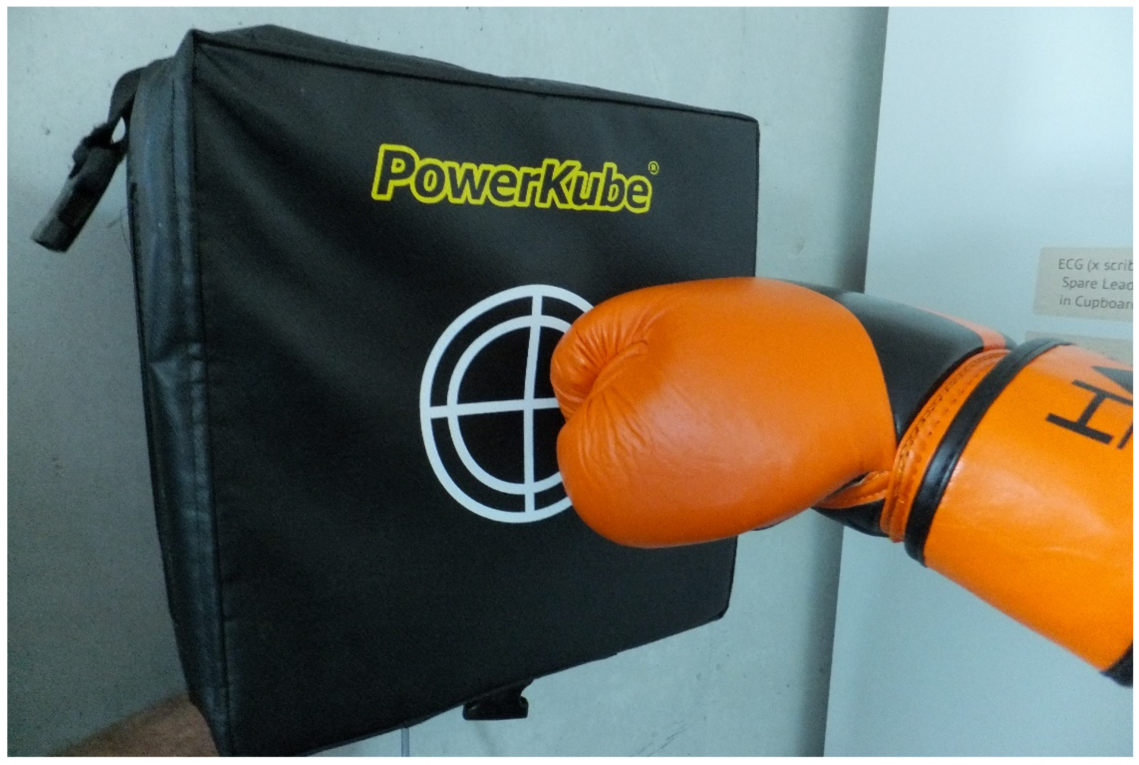 Sports 10 00206 g007