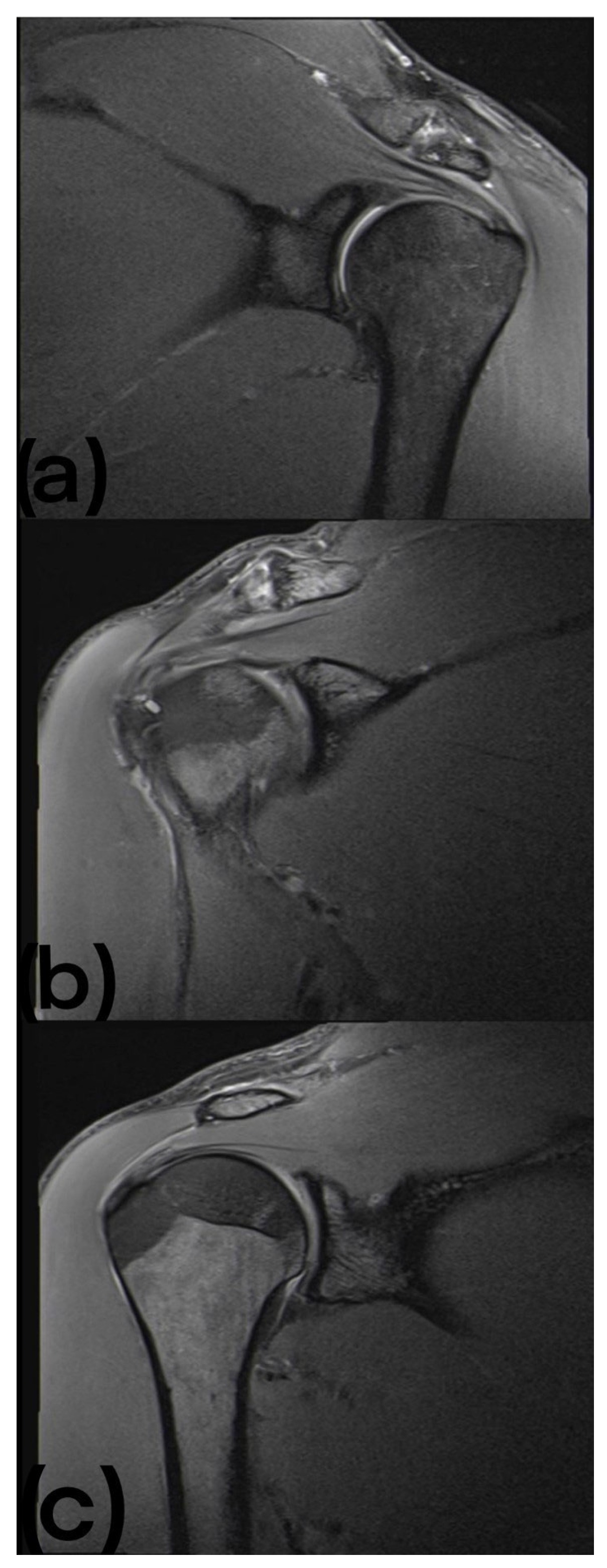 Sports 10 00210 g001