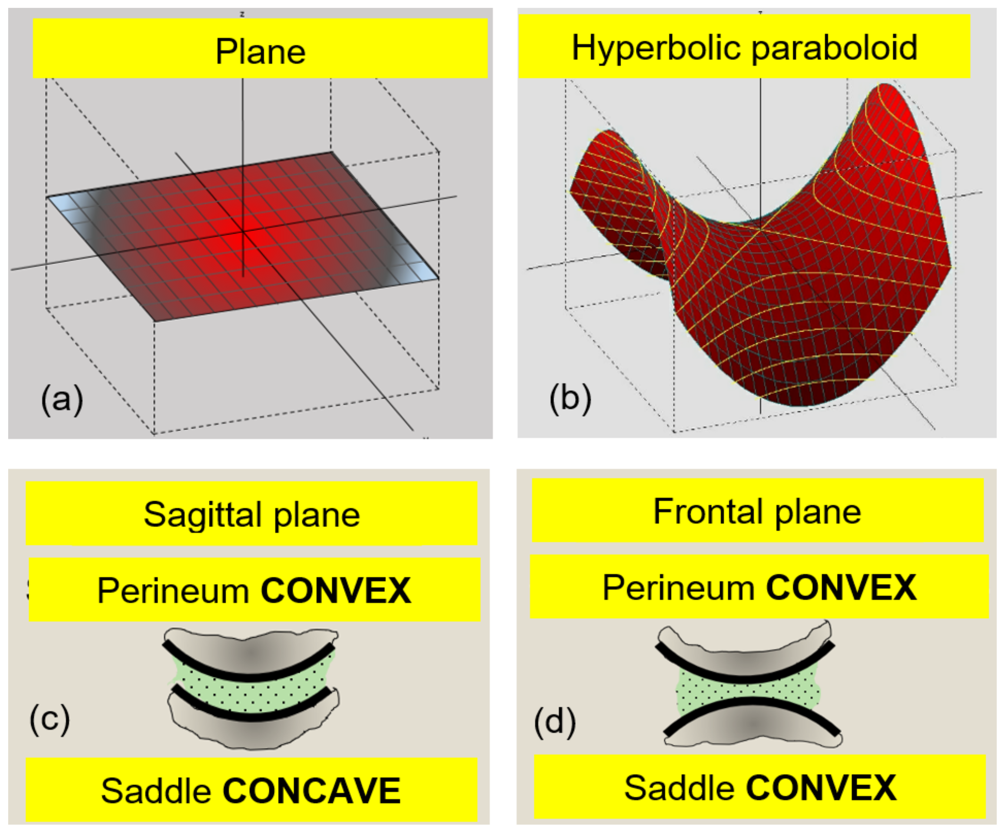 Sports 11 00016 g001