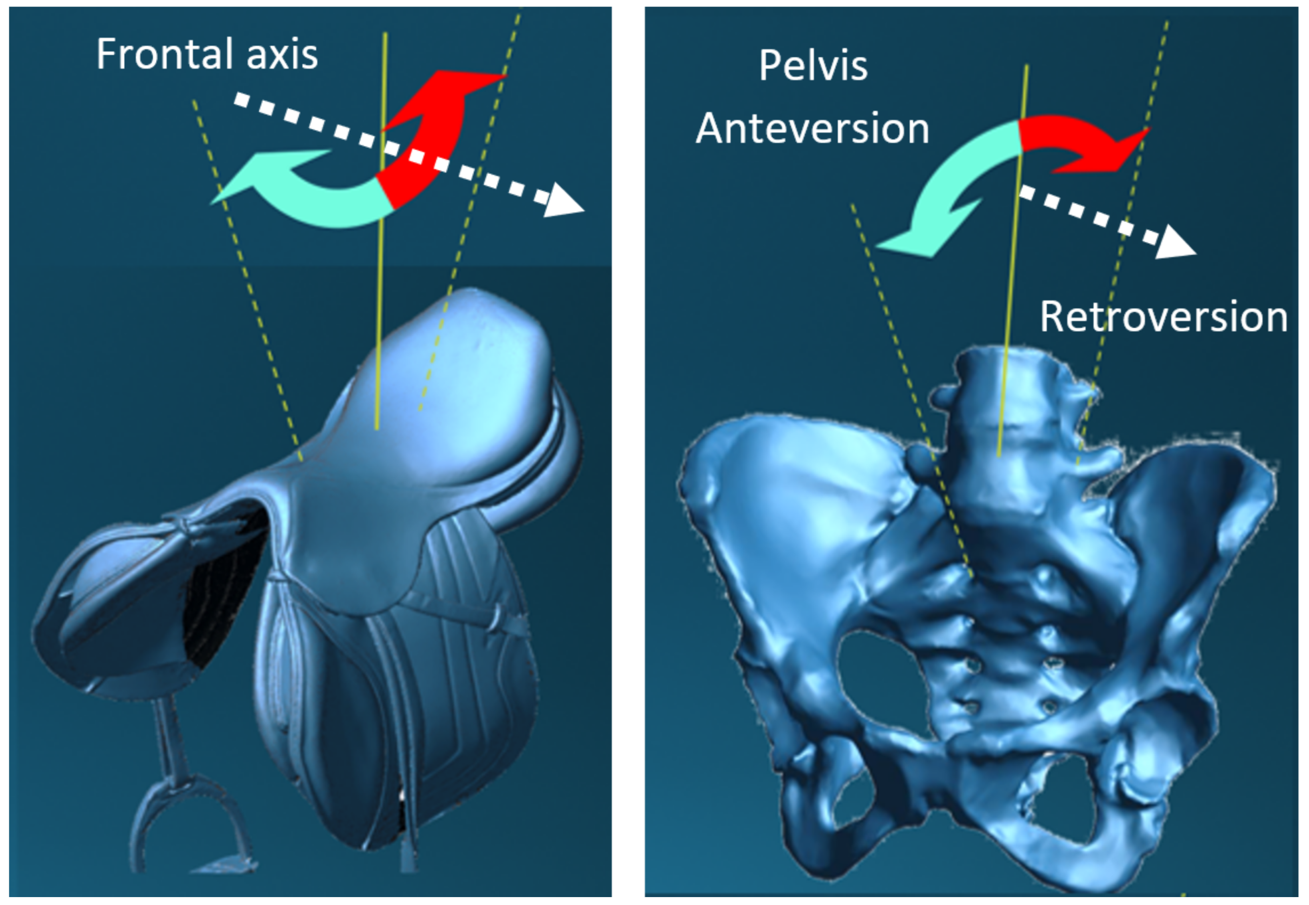 Sports 11 00016 g002