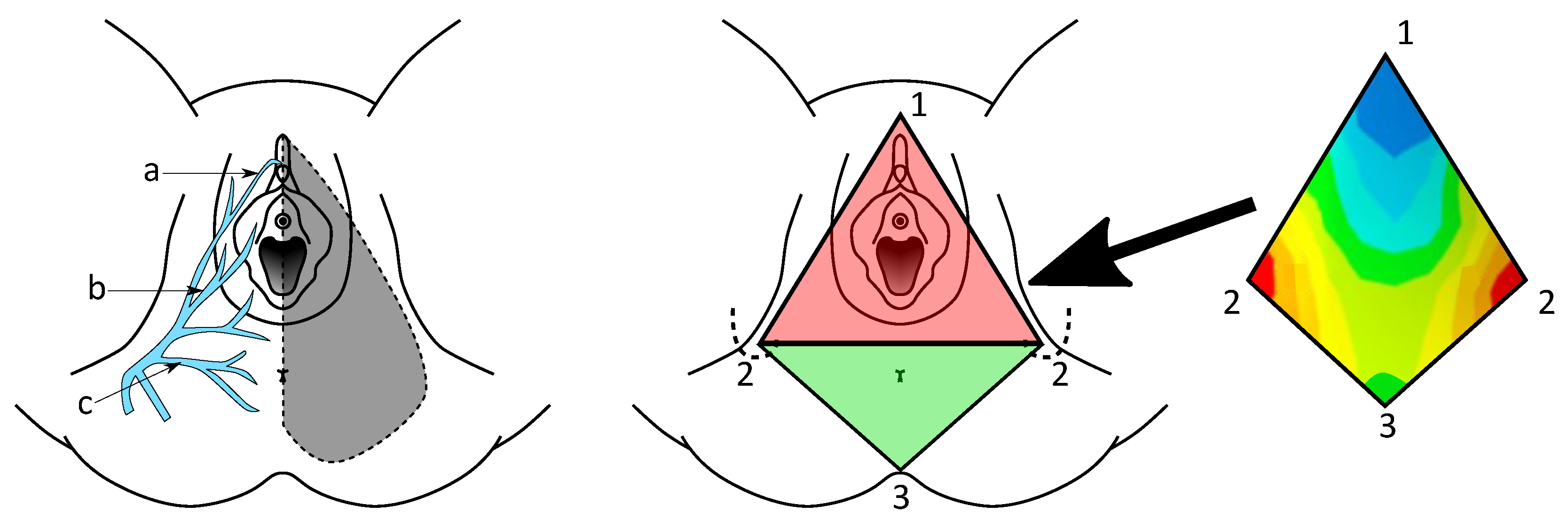 Sports 11 00016 g003